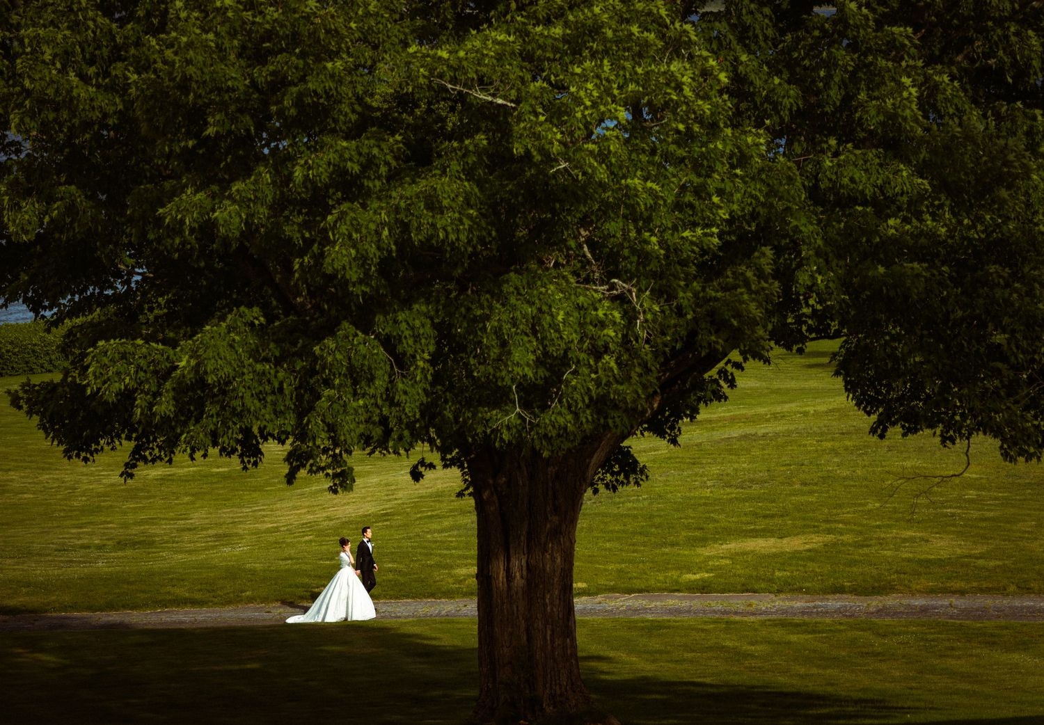 Bride and groom standing beneath a large green tree on a sunlit grassy hill during an outdoor wedding ceremony.