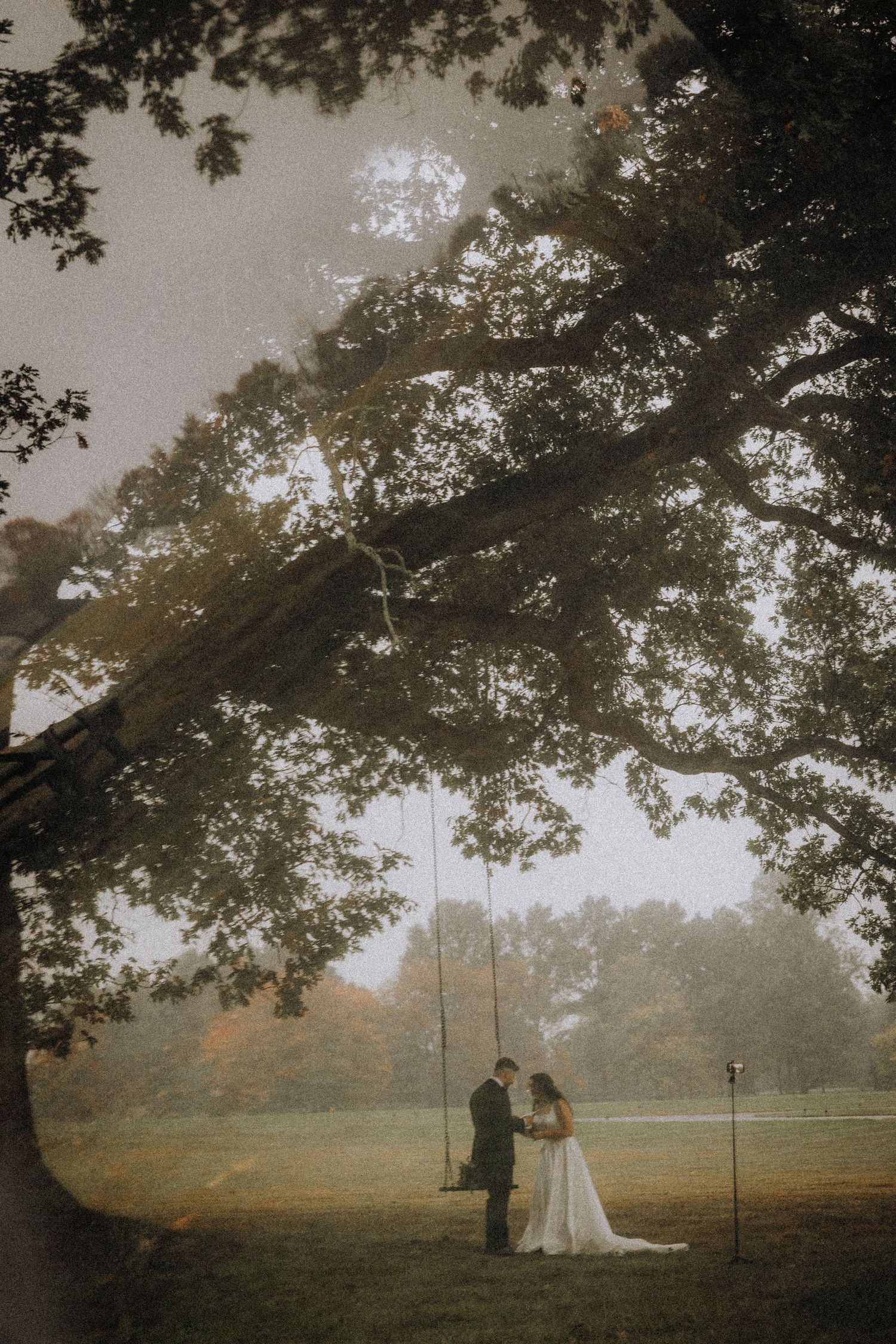 Moody wedding photograph showing silhouettes against foggy landscape under sprawling tree branches.