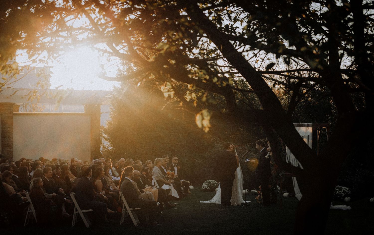 A crowd of wedding guests gathered outdoors at sunset with golden light filtering through trees.