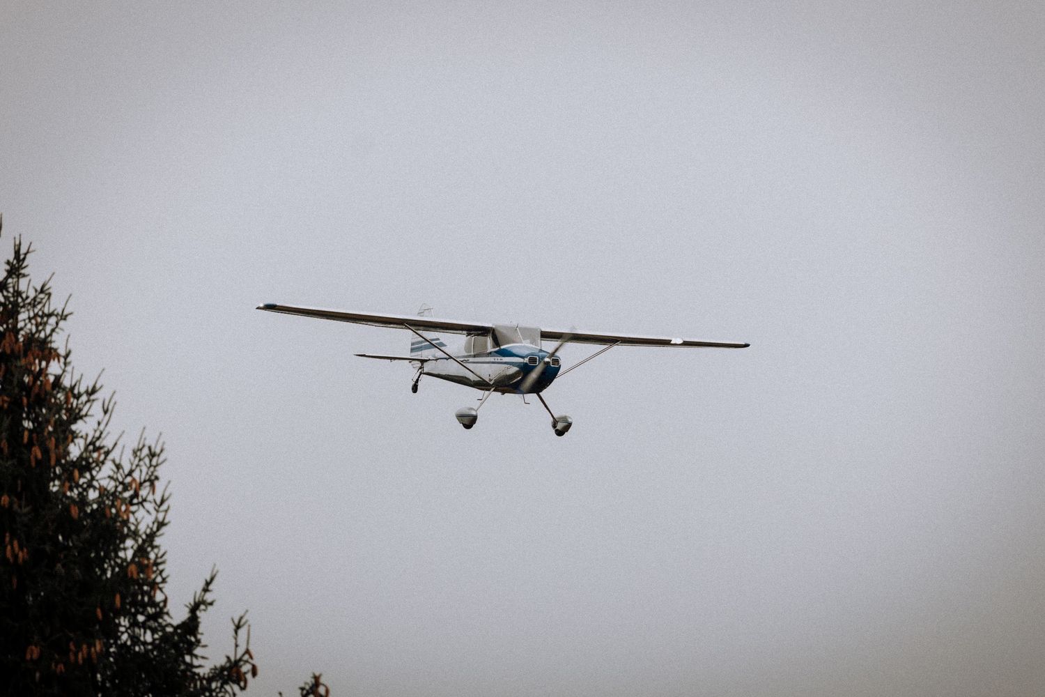 Small white airplane flying against an overcast sky during a wedding celebration.