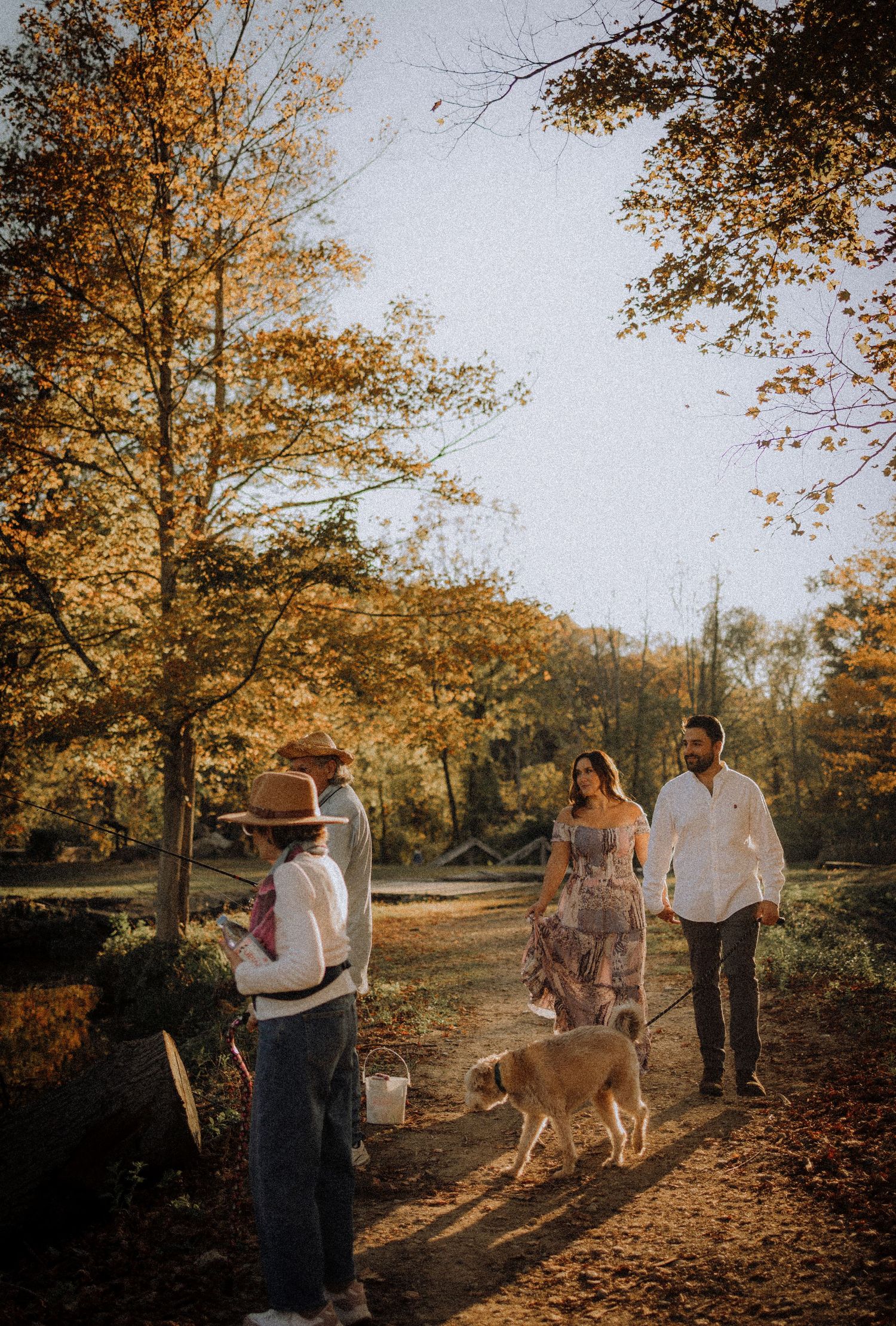 A couple walks their dog through a scenic autumn trail covered in fallen golden leaves.