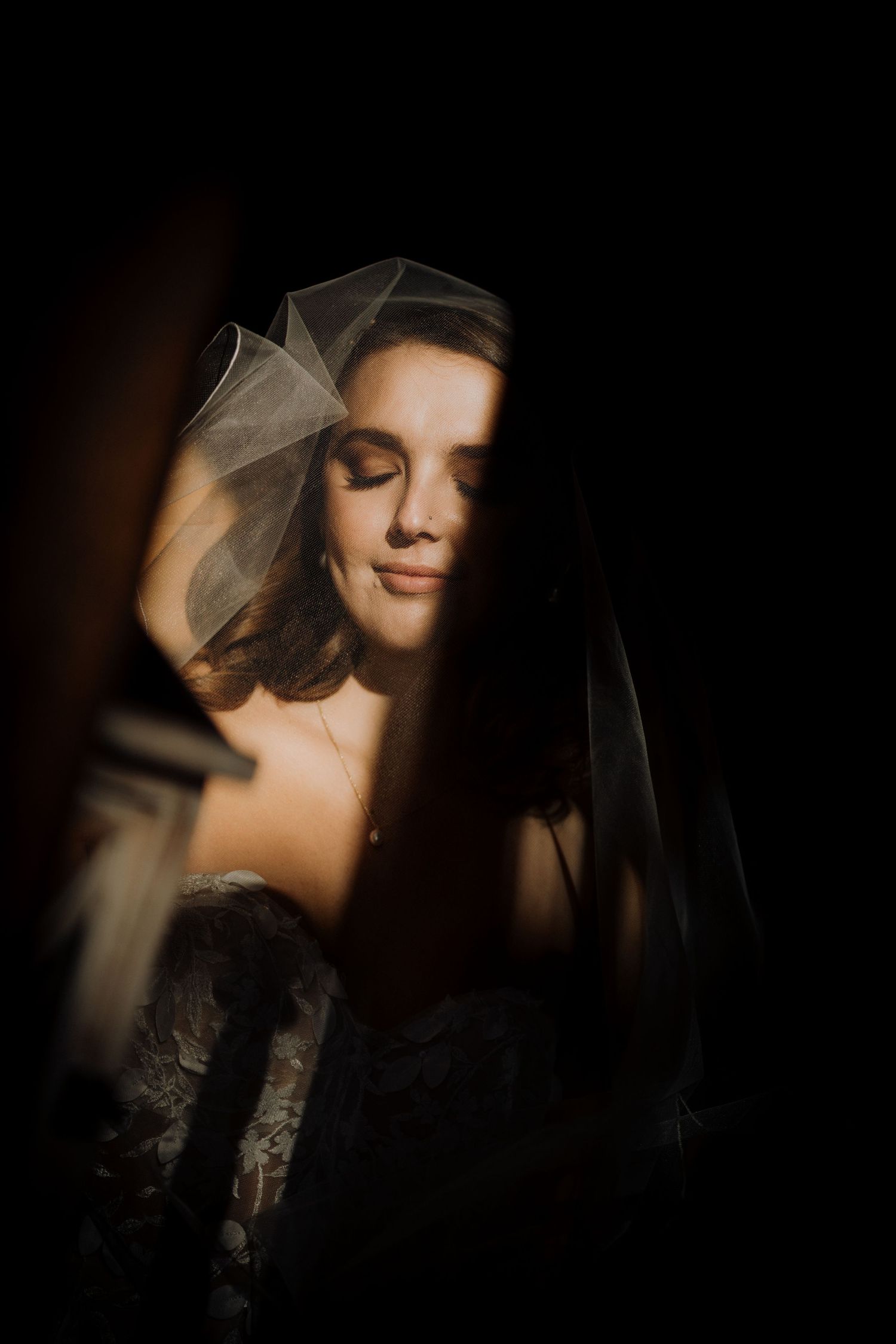 Dramatic bridal portrait with soft lighting and delicate veil creating an artistic silhouette.