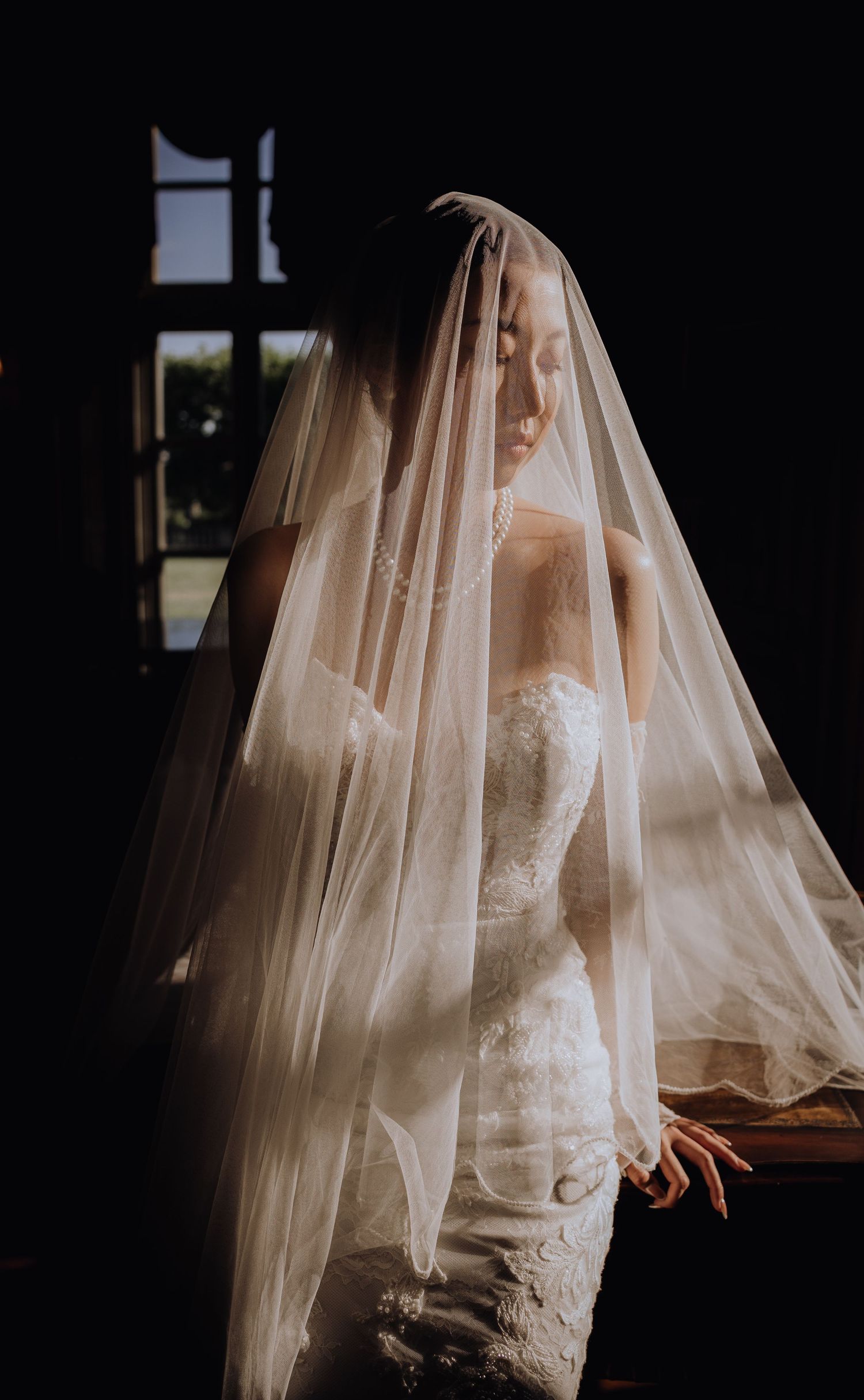 Bride in lace mermaid gown draped with flowing sheer veil, bathed in soft natural light against dark background.
