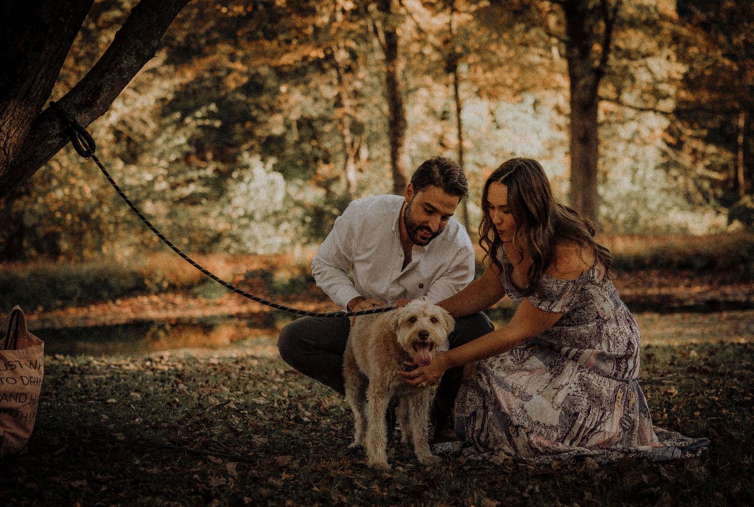 Couple petting their dog in a scenic autumn forest setting during golden hour.