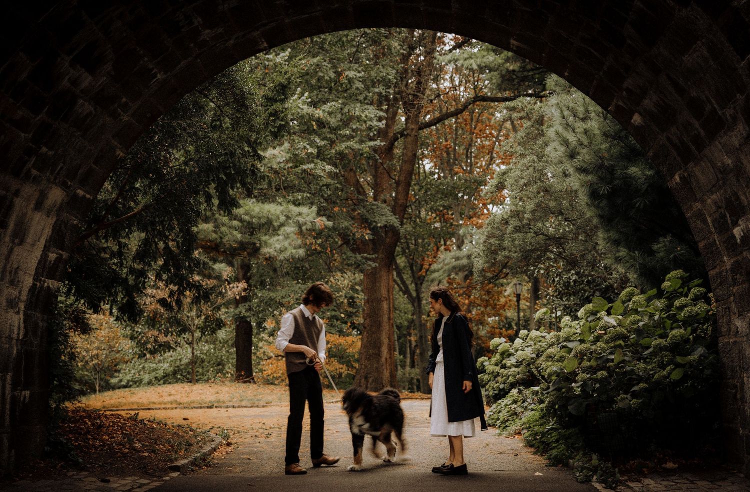 A panoramic view of a tree-lined path with people walking in the distance.