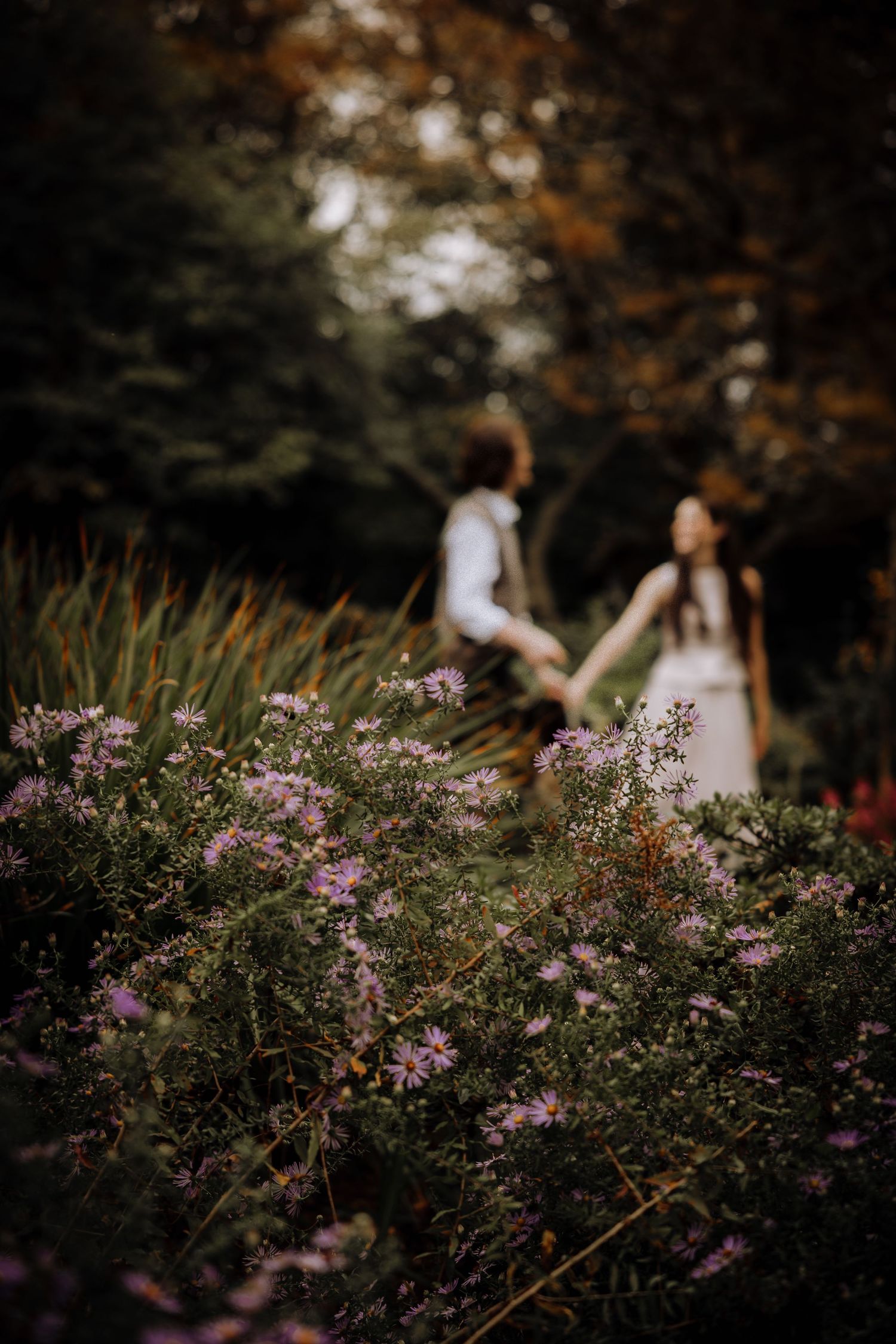 Purple wildflowers bloom in foreground with blurred figures in a garden setting.