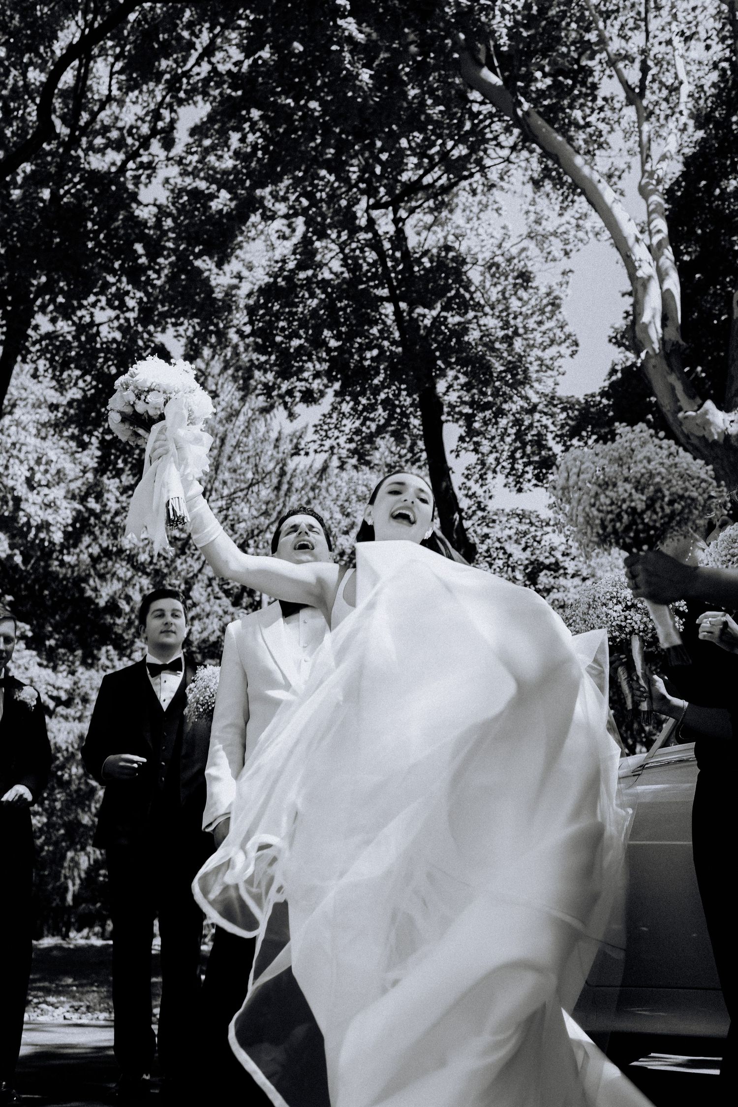 Wedding party celebrates joyfully outdoors with flowing white dress and formal attire.