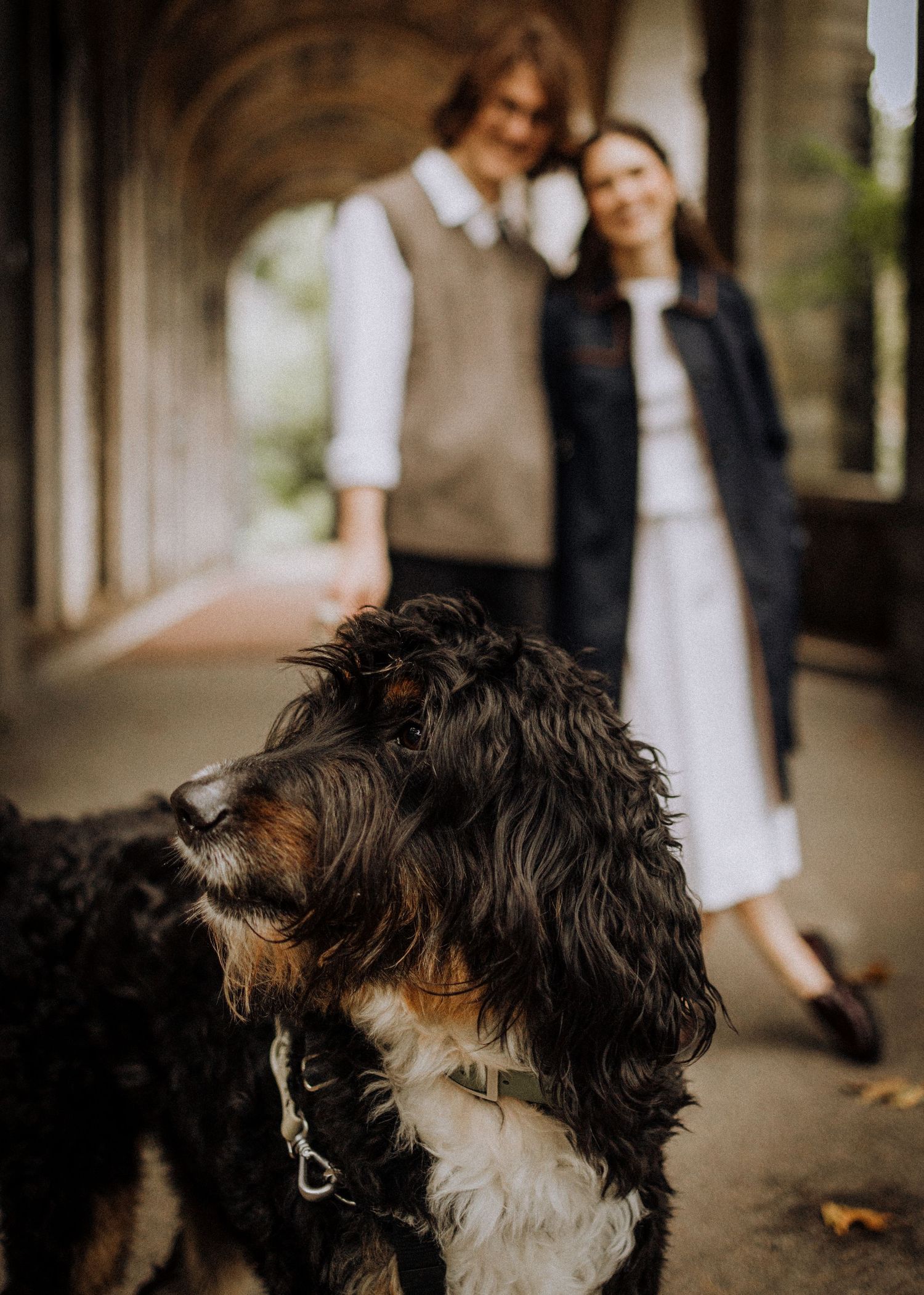 A black and white Bernedoodle dog poses in foreground with couple in background under arches.