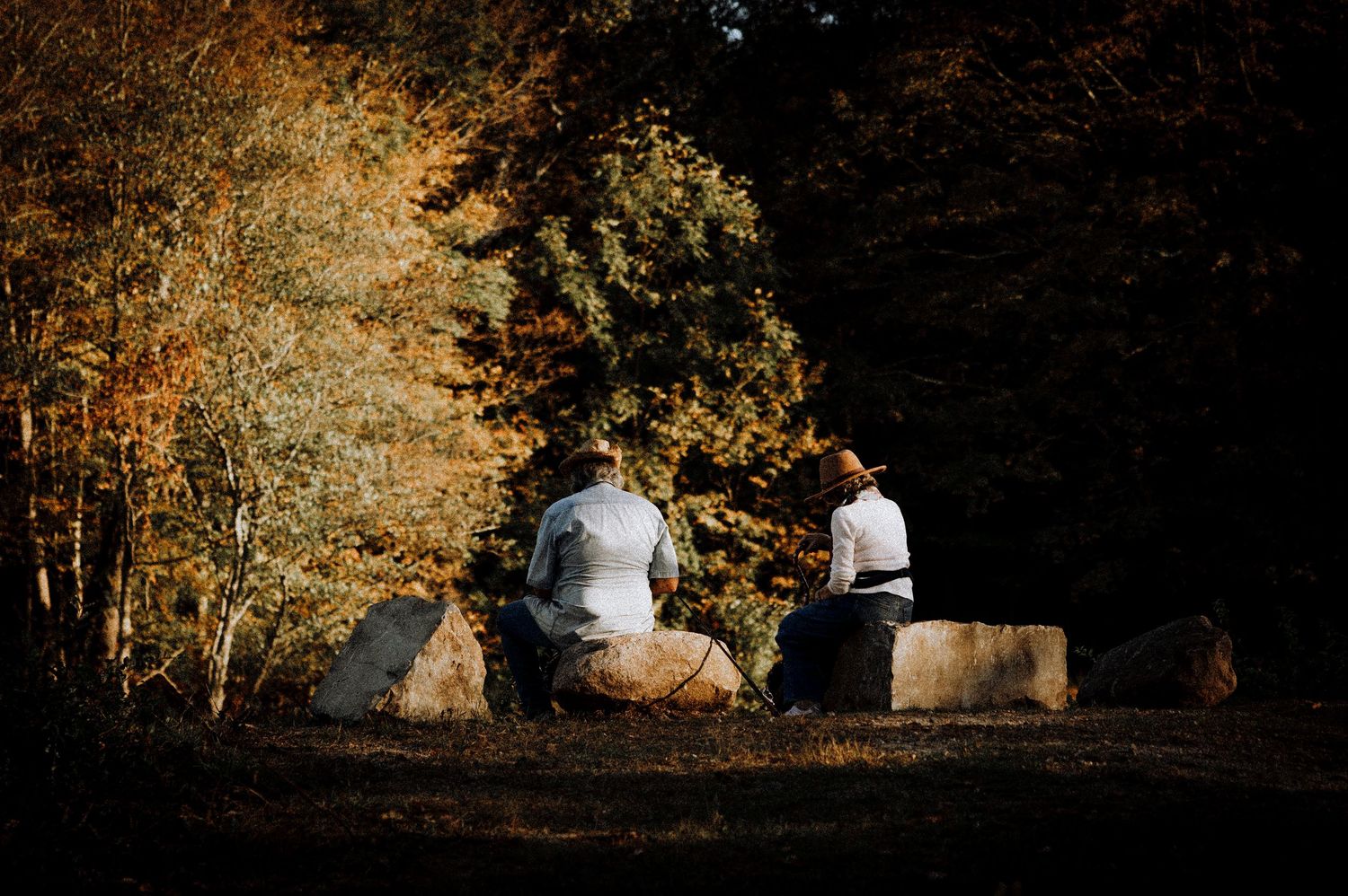 Two people sitting on large rocks in a sunlit autumn forest clearing.