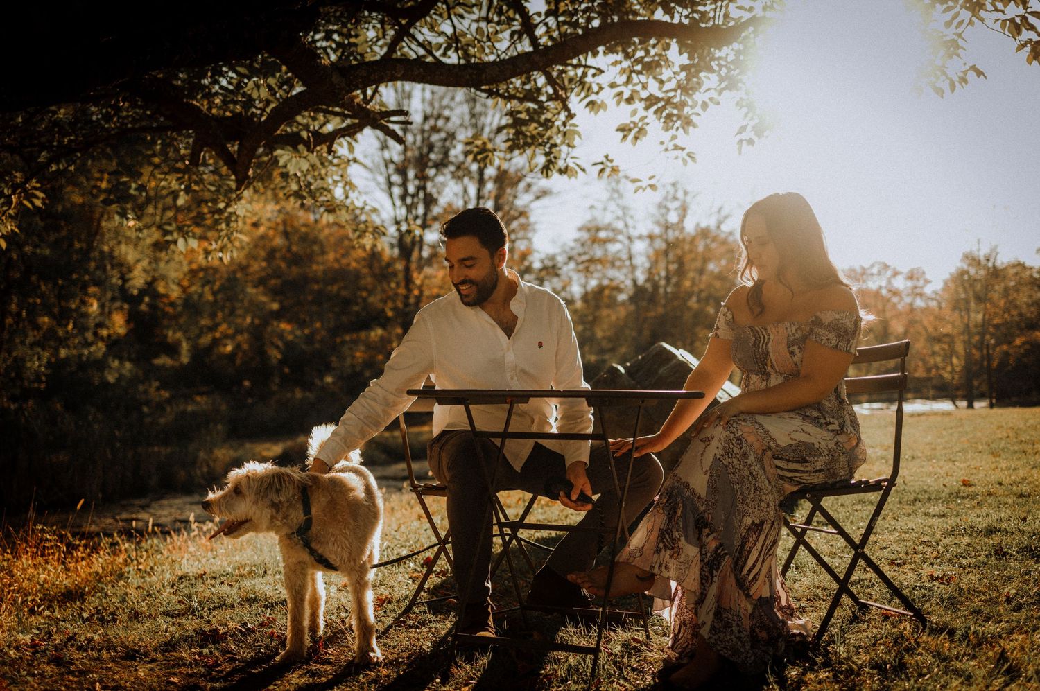 A couple sits together on folding chairs in a golden field during sunset with trees in the background.