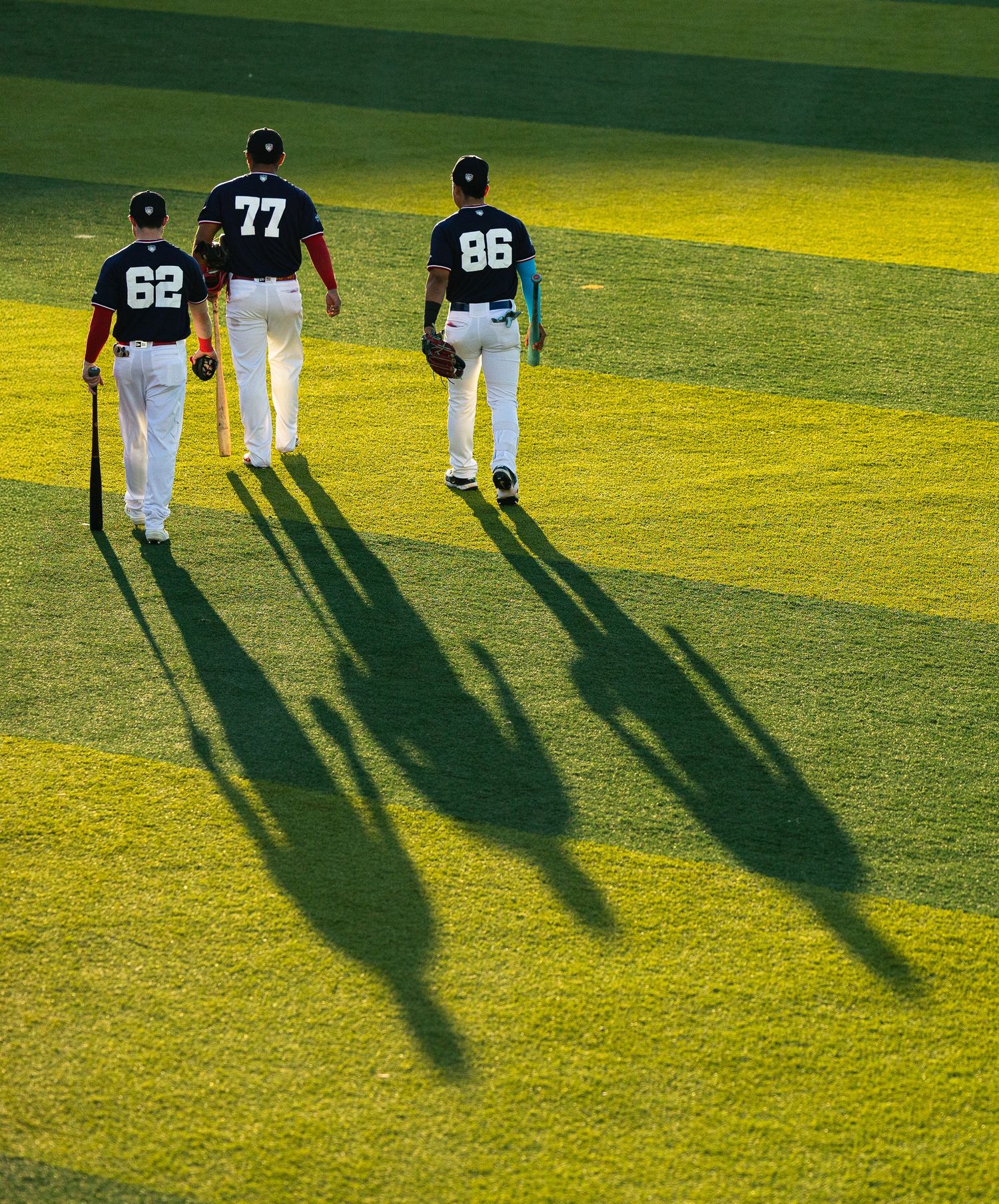 Three baseball players wearing jerseys numbered 62, 77, and 86 walk across a bright green field casting long shadows.