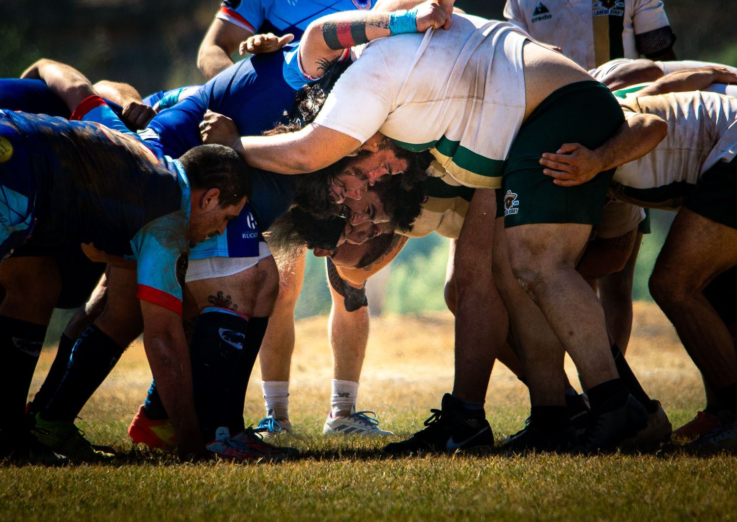 Rugby players forming a competitive scrum during an outdoor match on a grass field in bright sunlight.