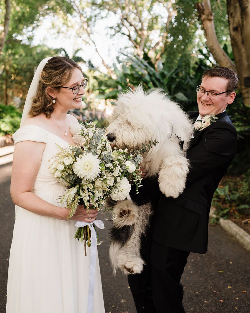 A couple poses with their black and white dogs during an outdoor wedding photoshoot.
