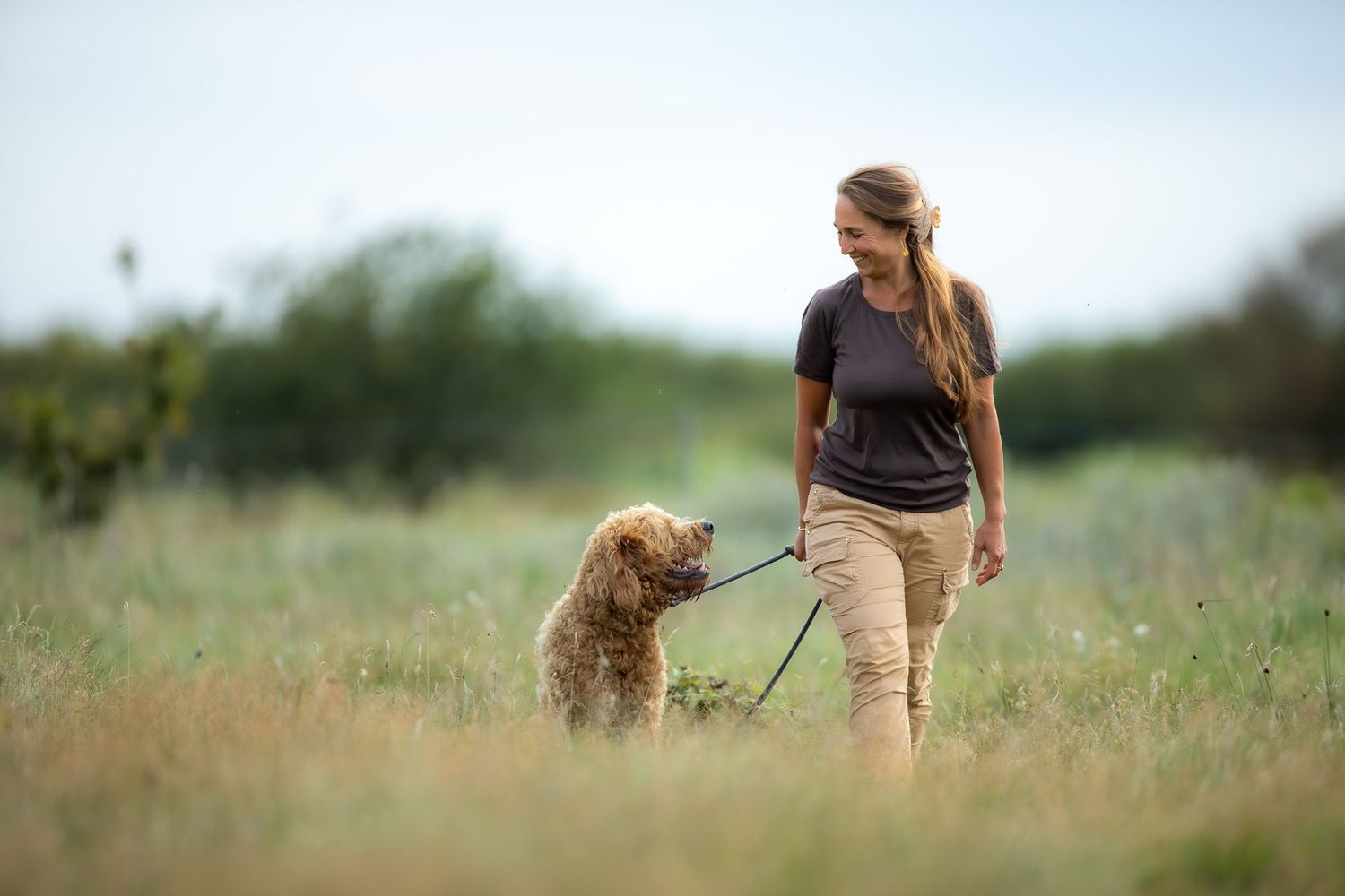 Golden retriever and companion walking through a wildflower meadow at sunset.