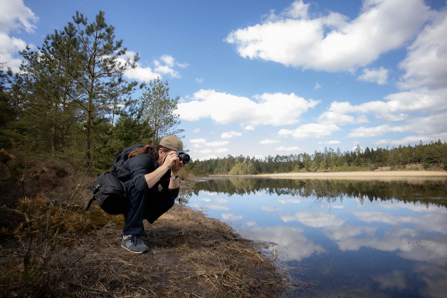 Serene lake landscape with pine trees and puffy white clouds reflected in still water.