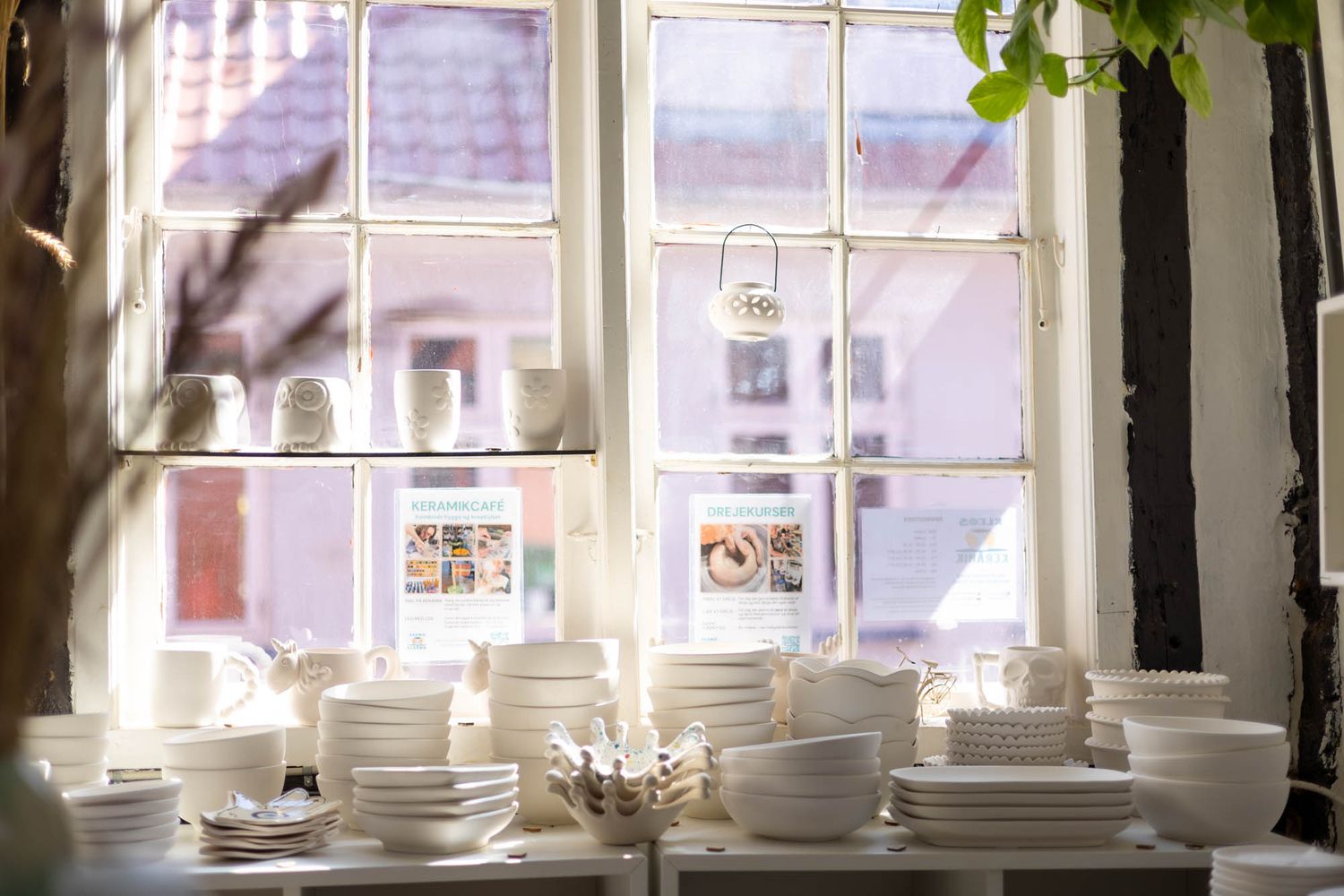 Row of white ceramic dishes displayed on shelves near sunny windows.
