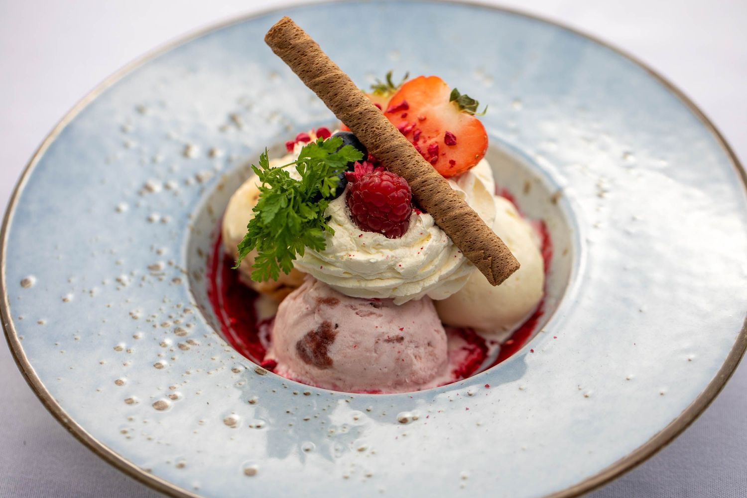 Artfully plated dessert with ice cream, berries, whipped cream and a chocolate wafer stick.
