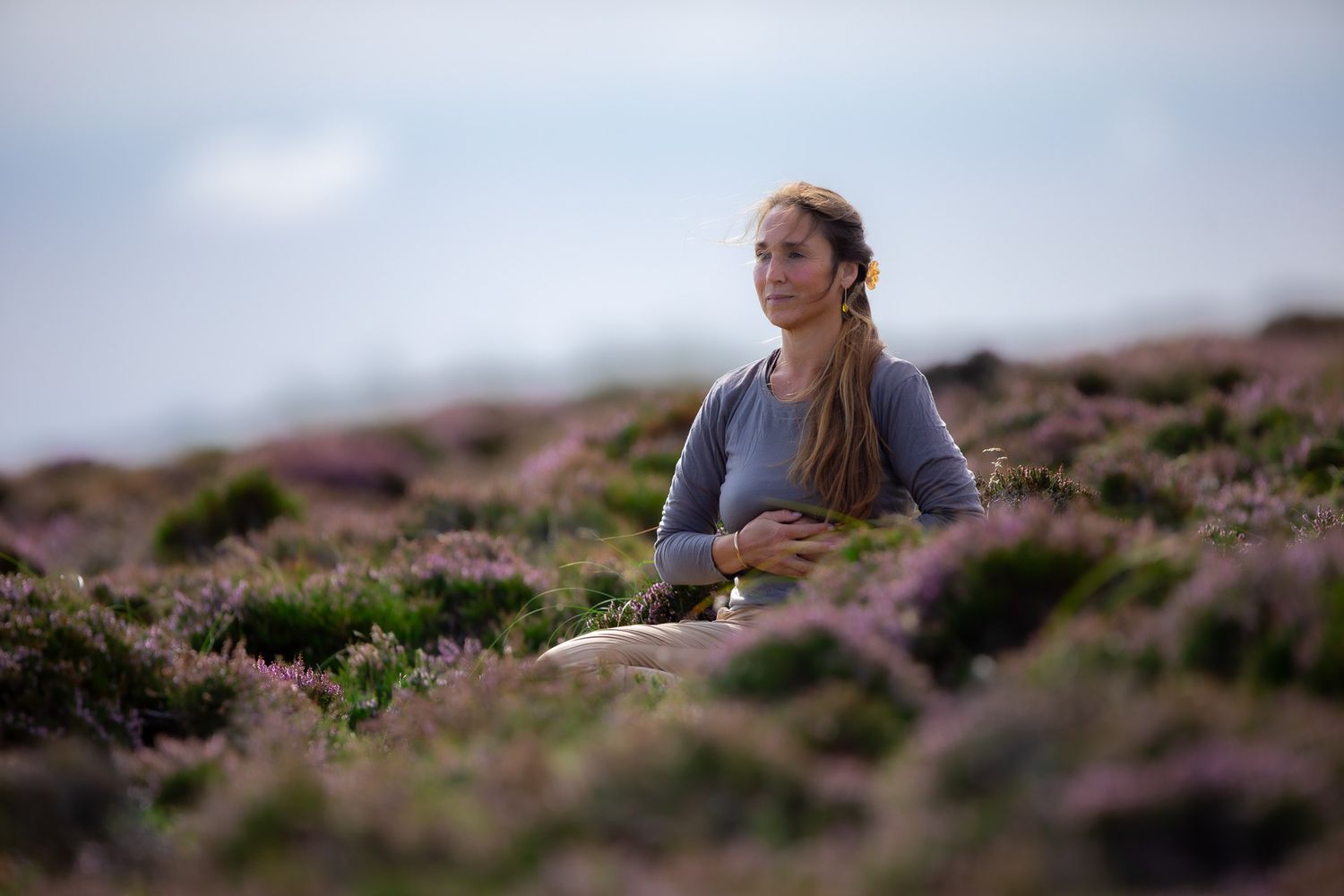 Relaxing among purple heather flowers on a hillside during summer.