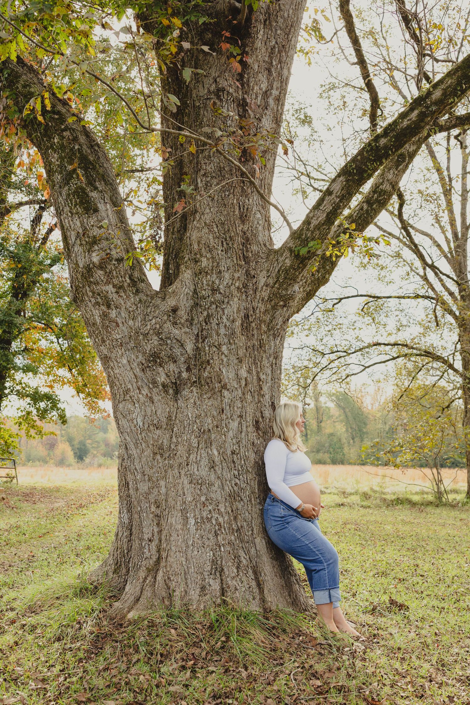 Person sitting against large tree trunk in autumn field setting.