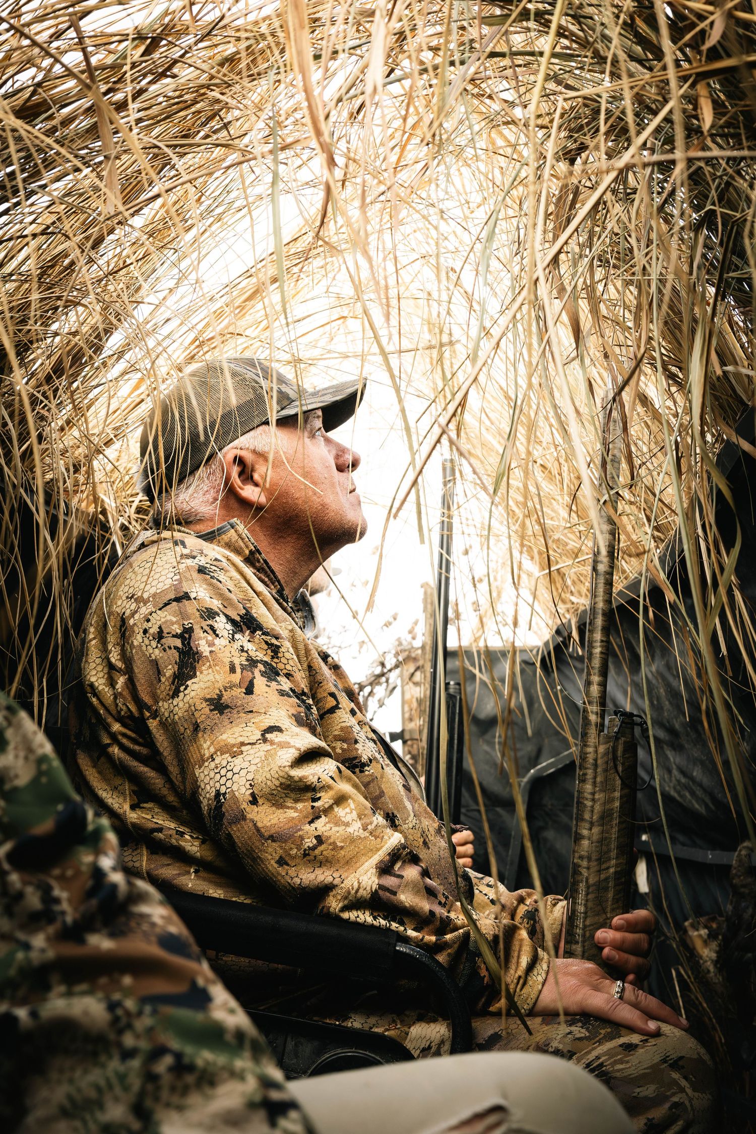 A hunting dog lies camouflaged in tall dried grass during a hunt.