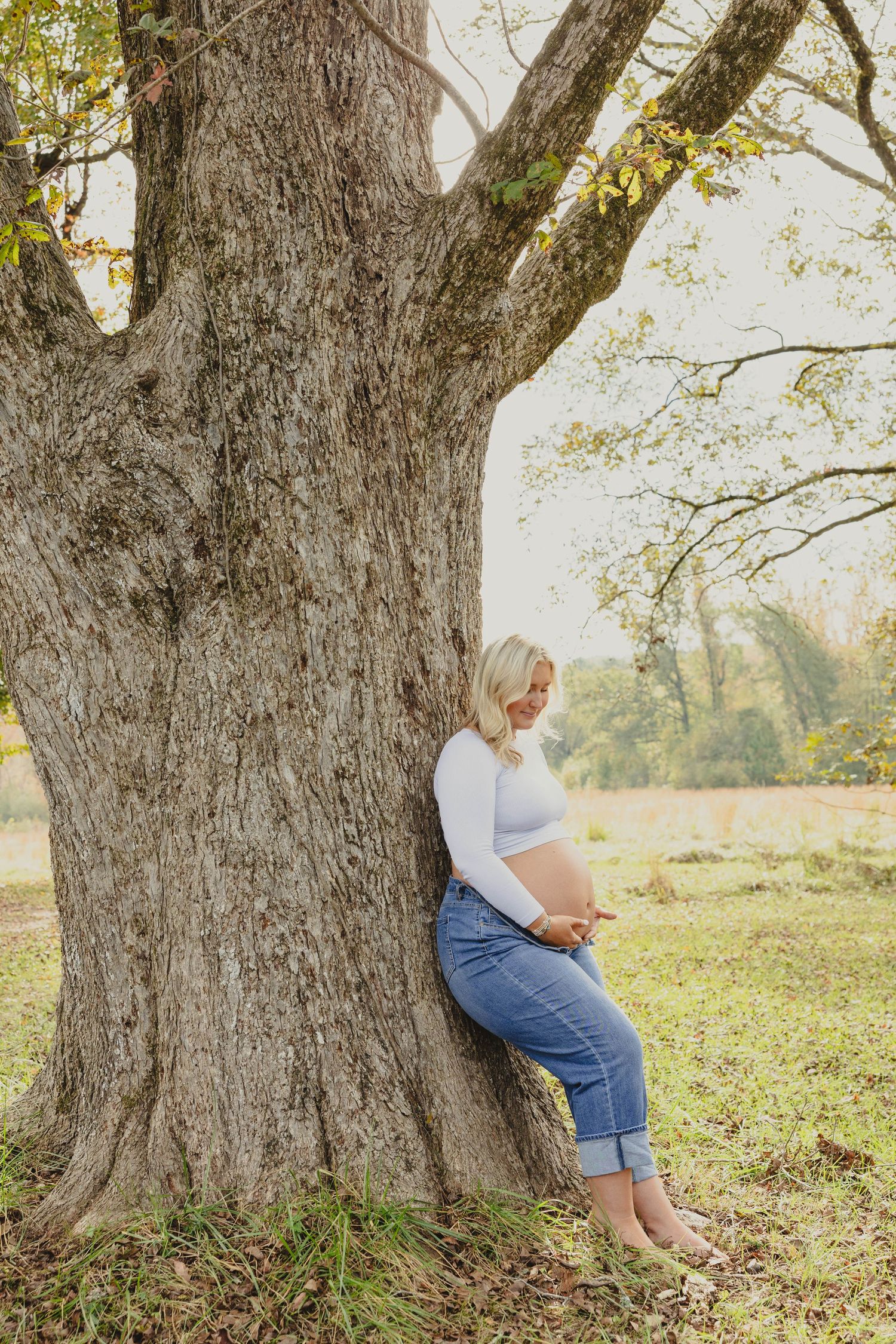 Artistic series of photos showing a large tree trunk in a grassy field.