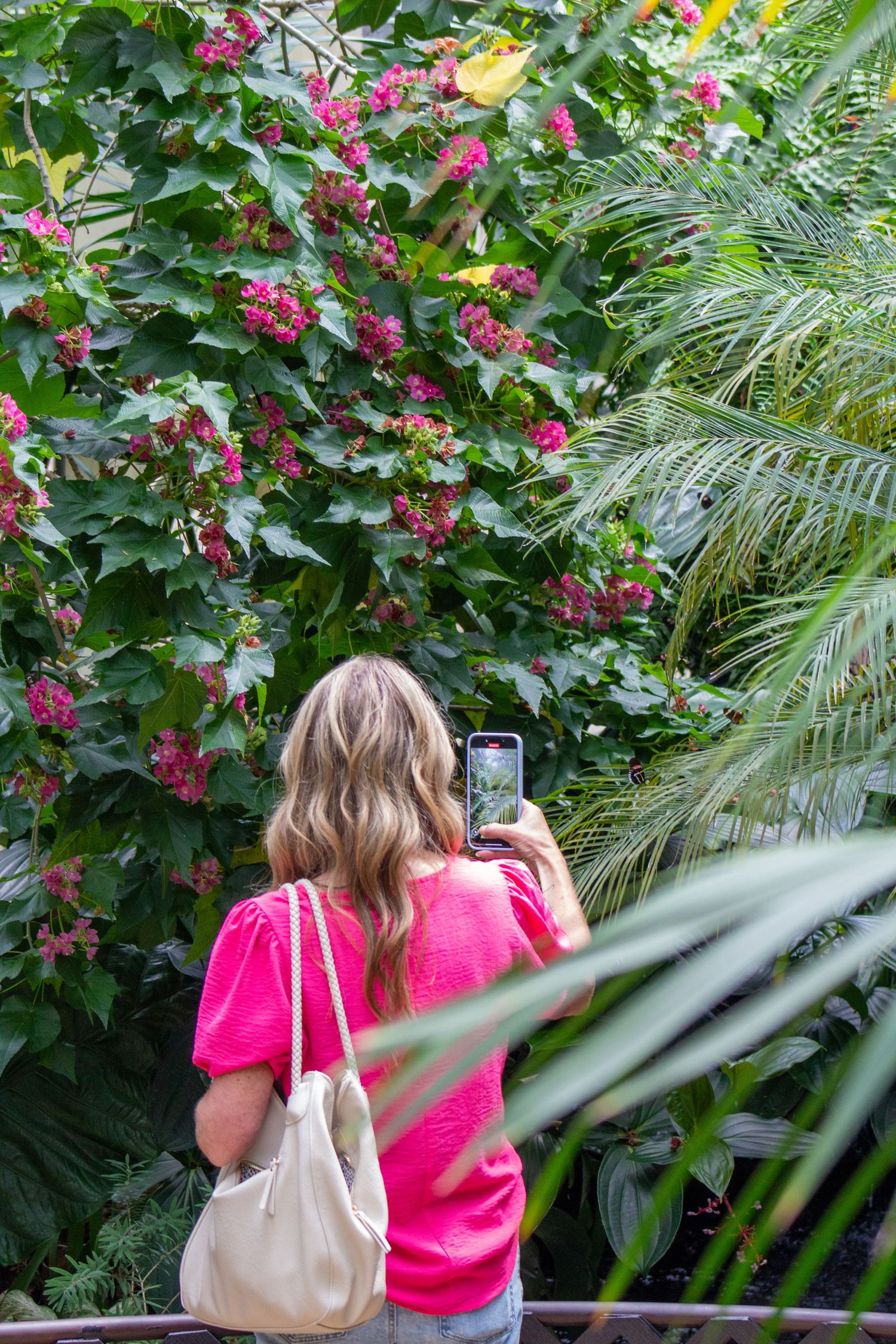 Two people admire vibrant pink flowering bushes in a tropical garden setting.