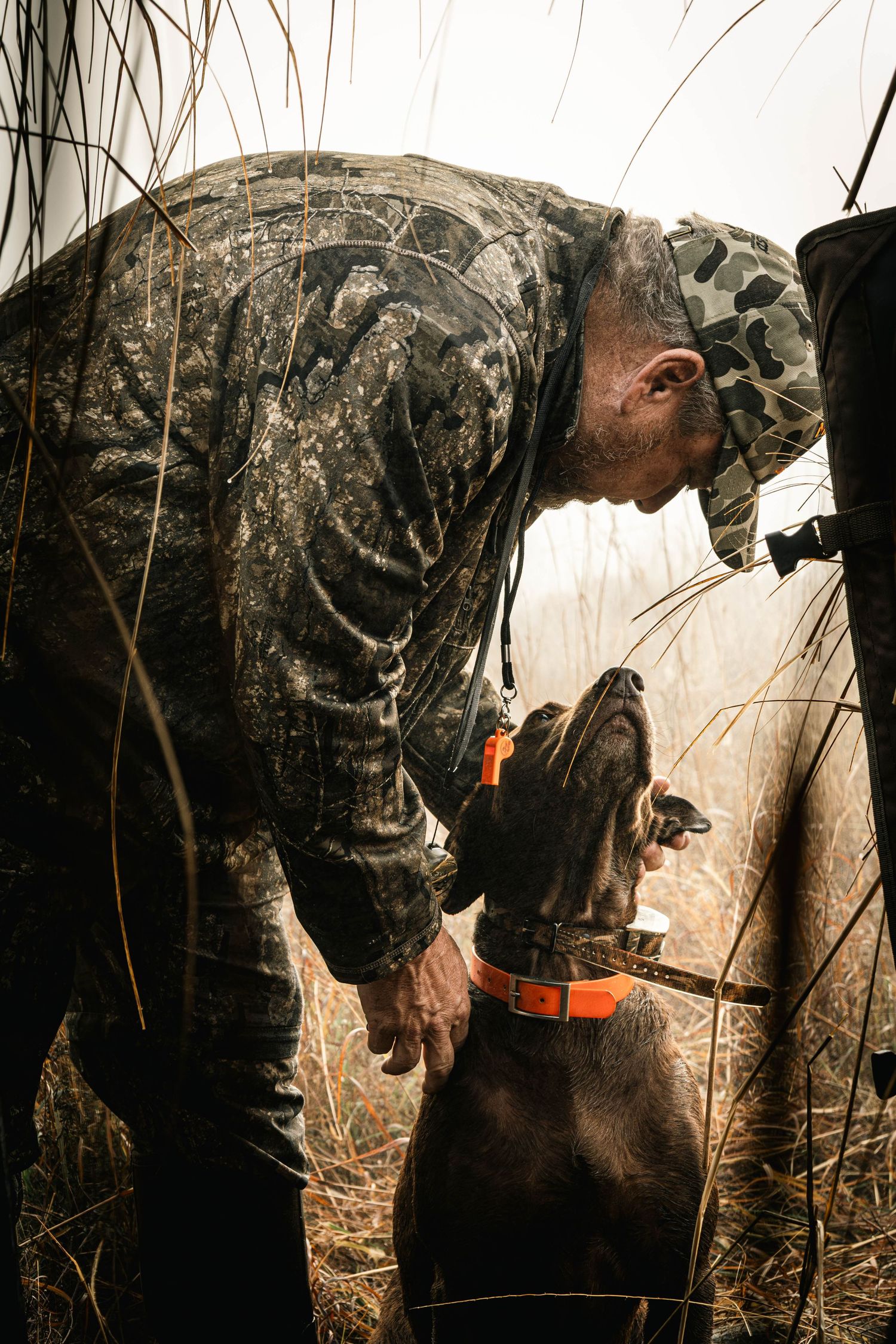 A hunting dog in camouflage gear walking through tall grass during an outdoor expedition.