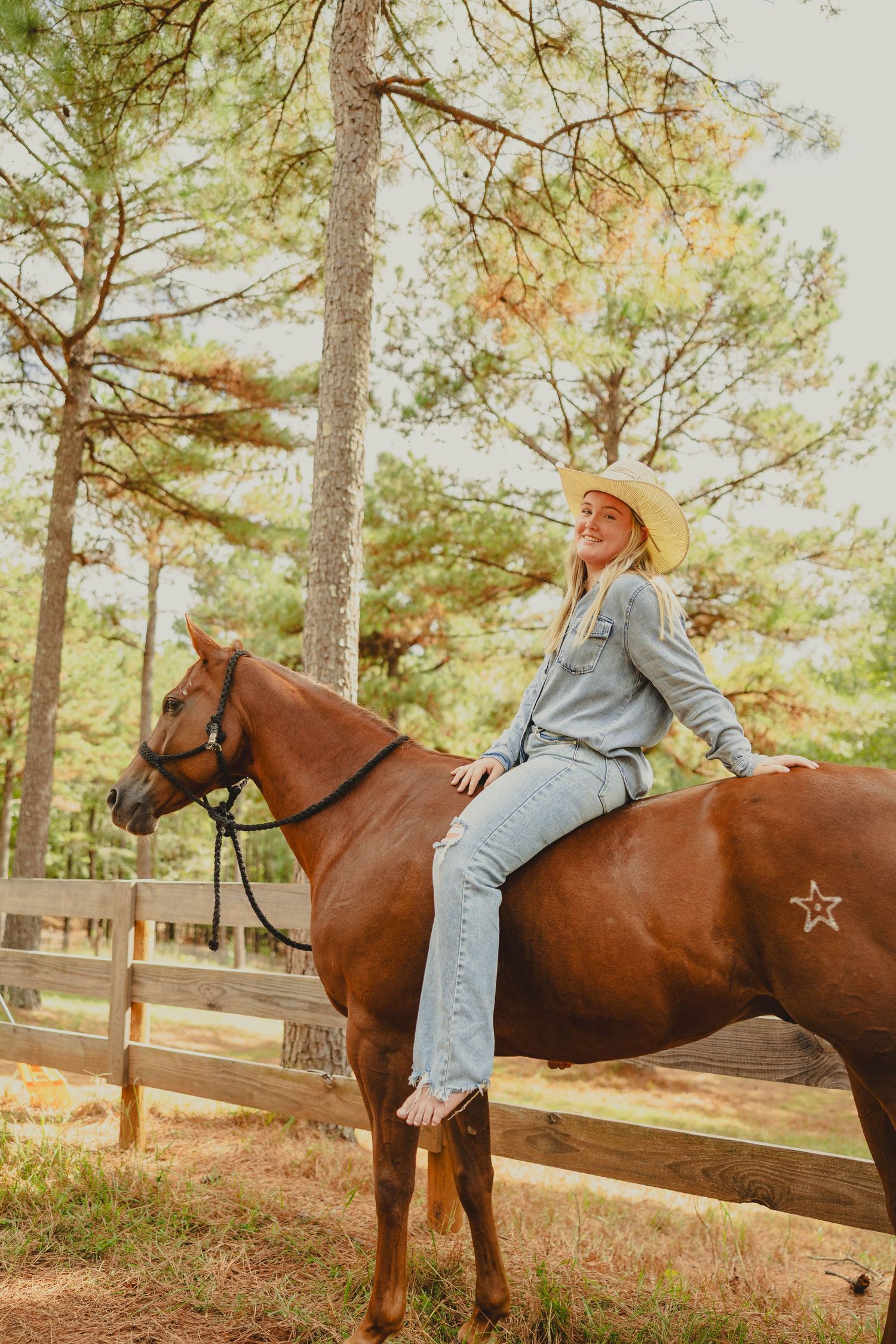 Person relaxing on a brown horse in a serene pine forest setting.