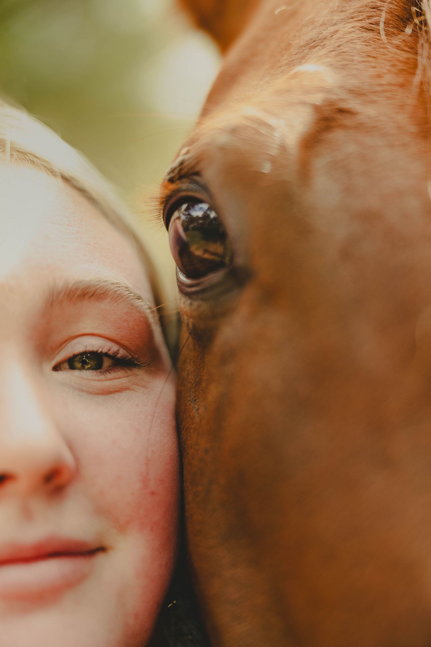 Extreme close-up shot showing the eye of a brown horse and partial human face.