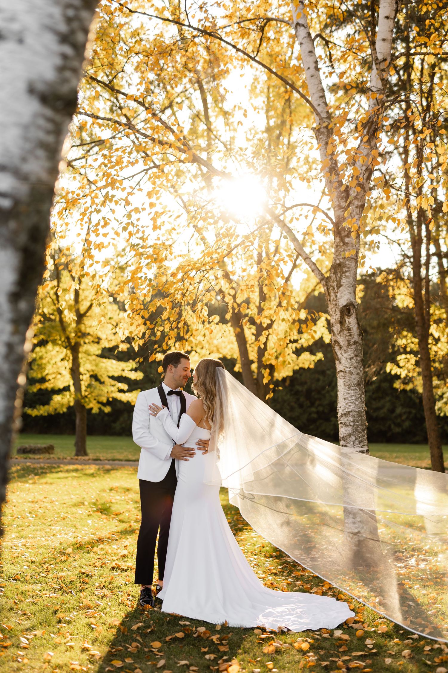 Elegant wedding portraits with flowing veil backlit by golden sunset through birch trees.