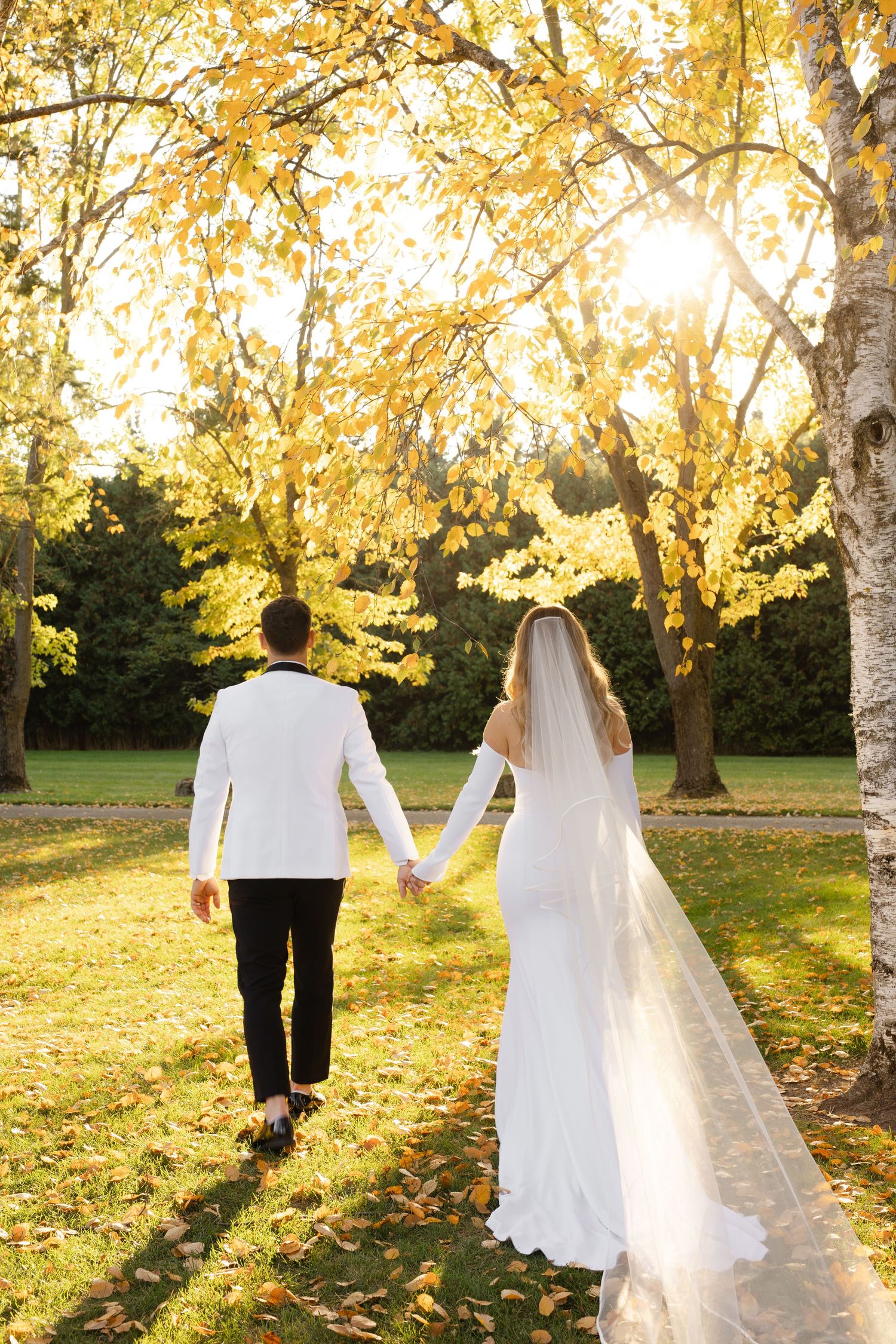 Bride and groom walk hand in hand through golden-lit birch grove during fall wedding.