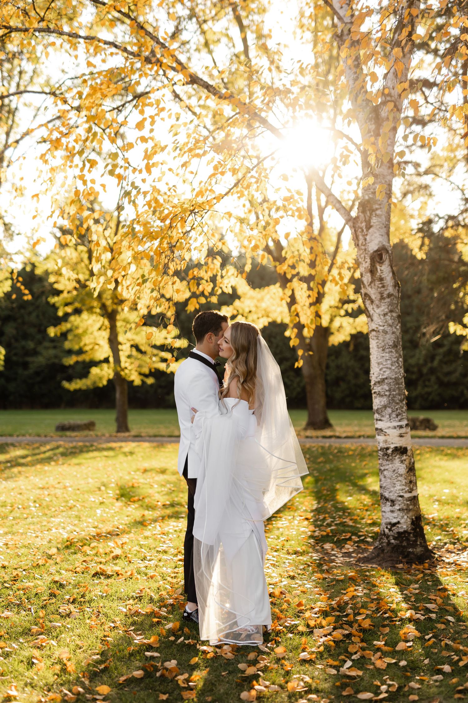 Wedding couple embraces among birch trees with golden autumn leaves falling in evening sunlight.