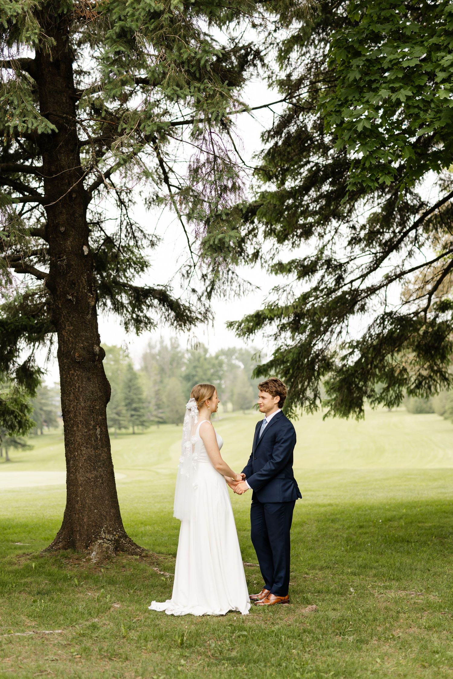 A wedding couple stands intimately beneath a large evergreen tree on a lush green lawn.