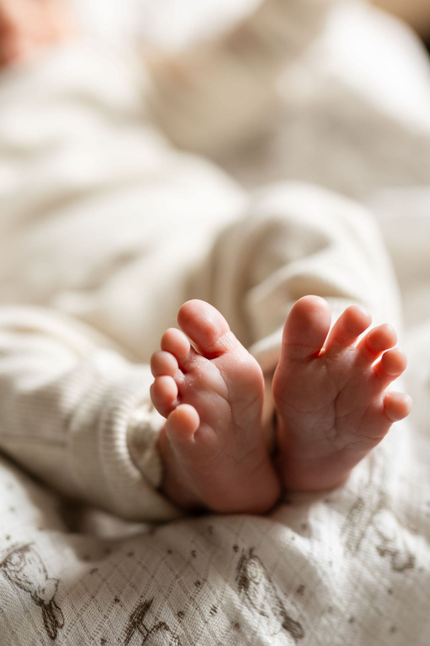 Ontario Newborn Photographer
Cambridge Newborn Photographer
KW Newborn Photographer
GTA Newborn Photographer