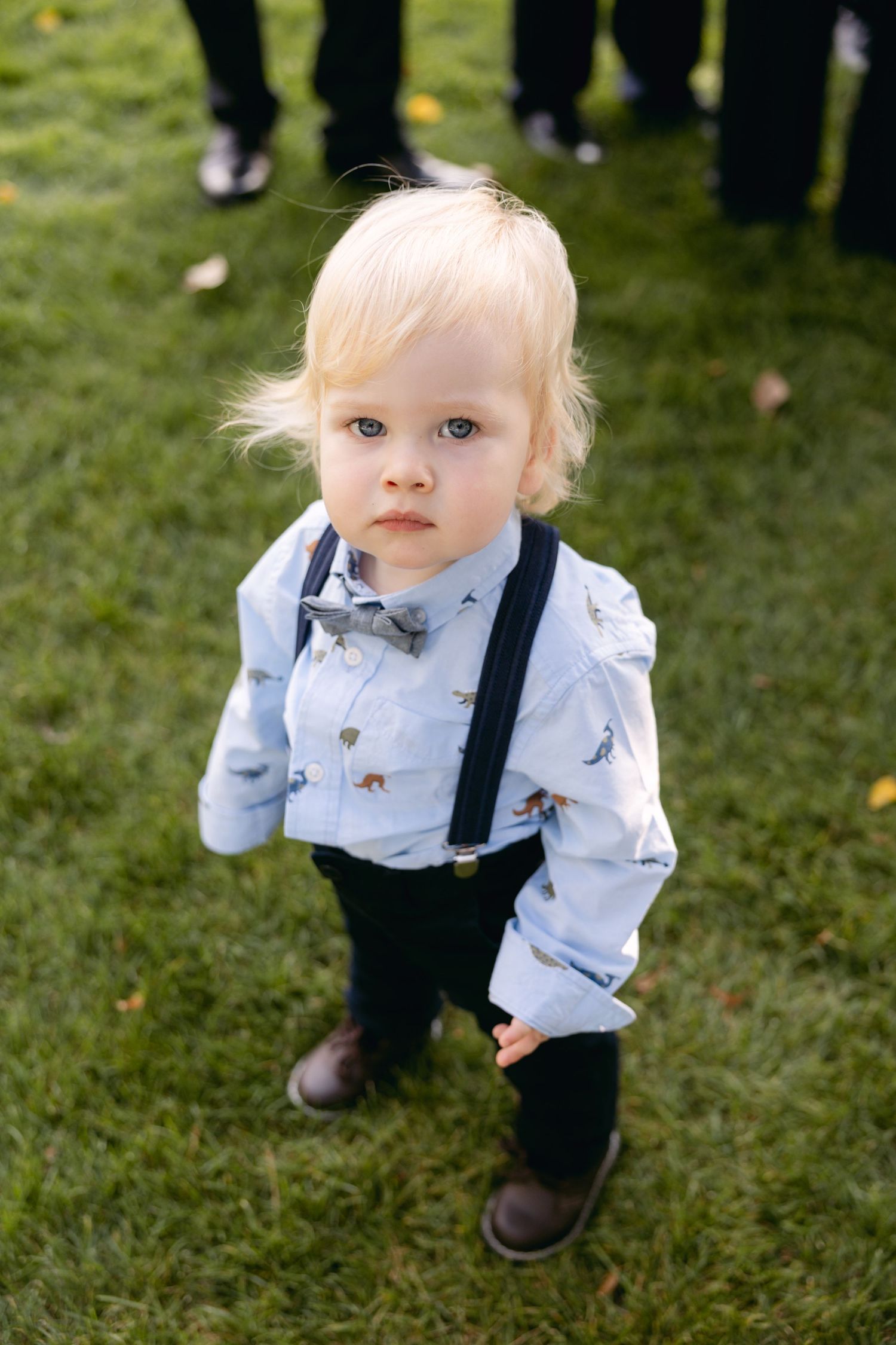 Adorable toddler in suspenders and bow tie stands on grass at formal event.