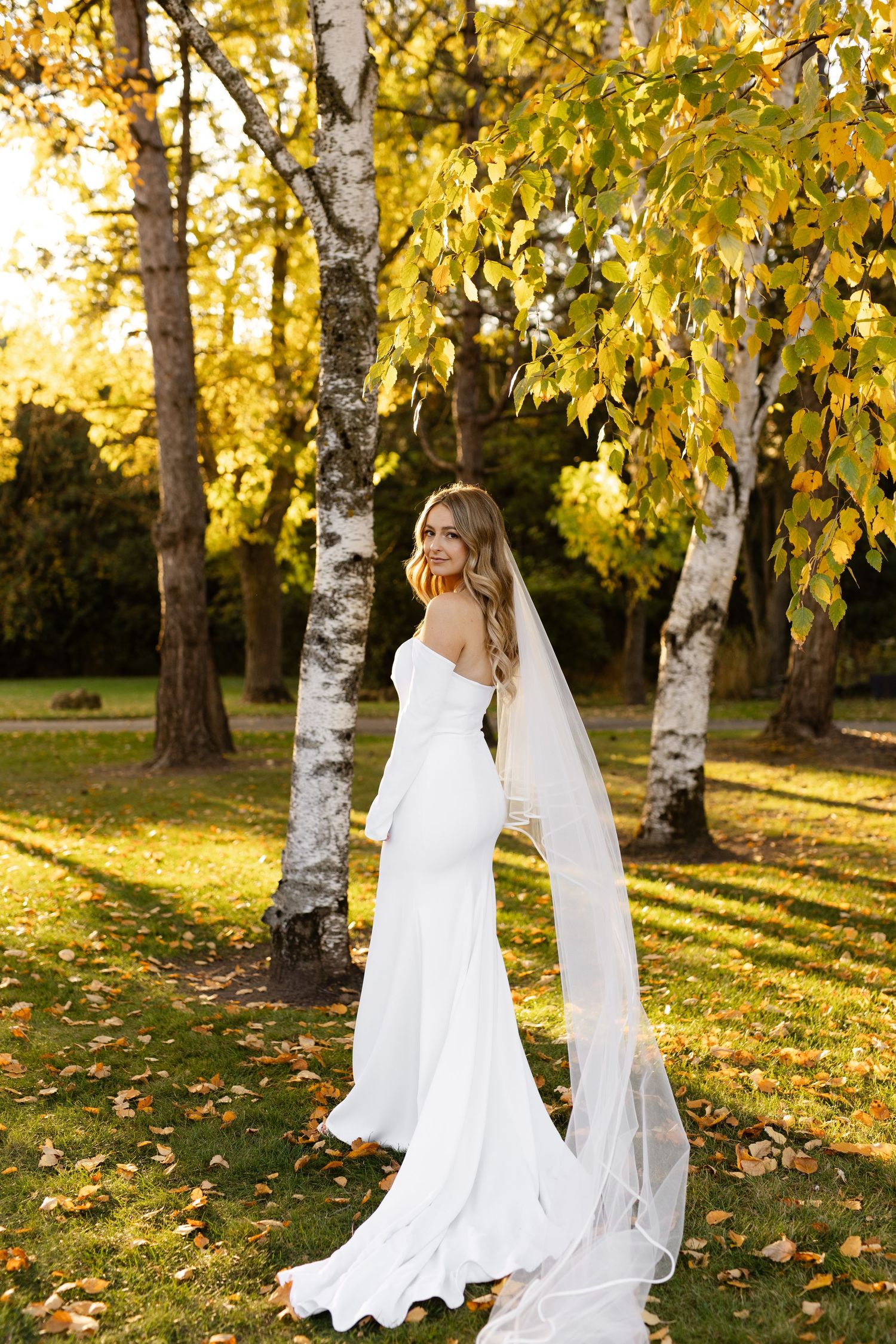 Bride in flowing white gown poses among birch trees during golden hour wedding shoot.