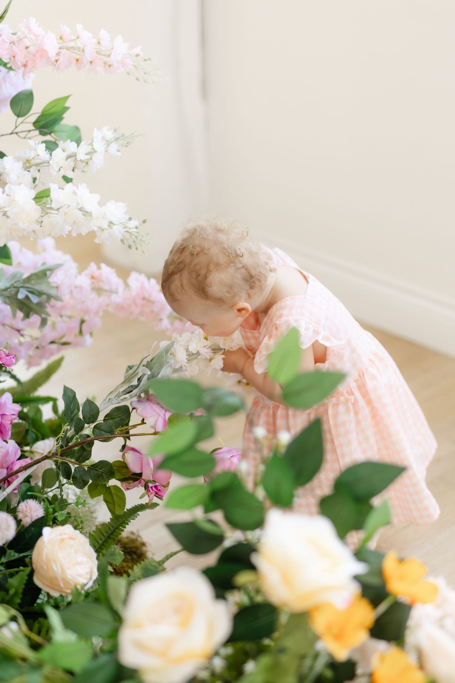 Ontario Family Photographer
Cambridge Family Photographer
KW Family Photographer
GTA Family Photographer