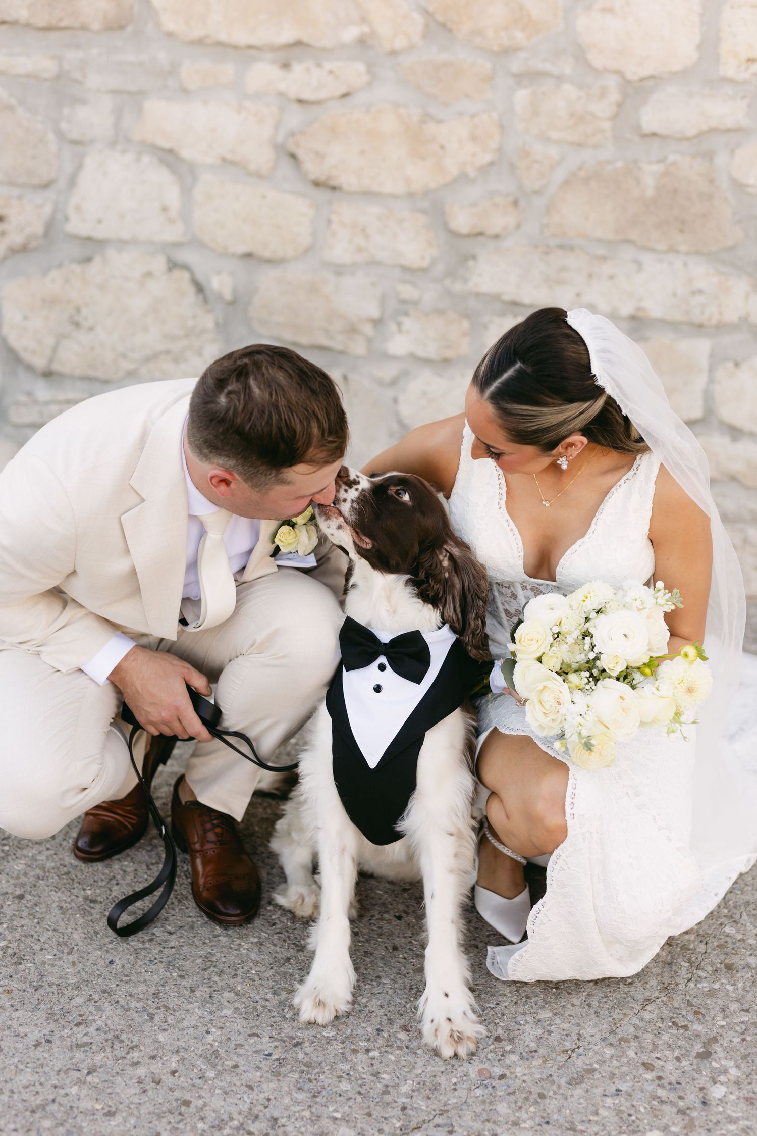 Wedding party sits together with their formally dressed dog on stone patio.