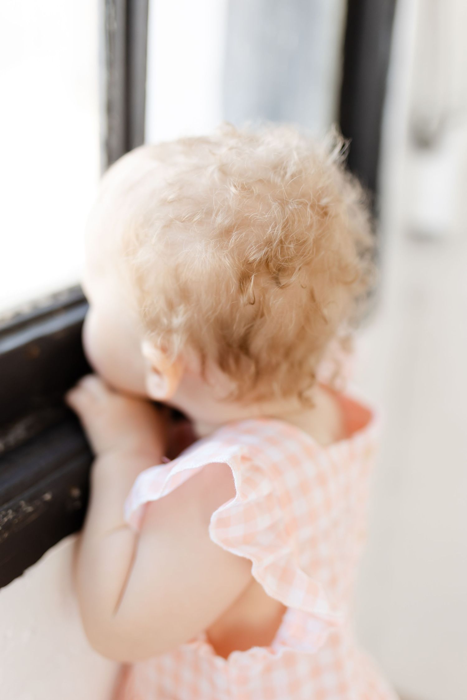 Ontario Family Photographer
Cambridge Family Photographer
KW Family Photographer
GTA Family Photographer