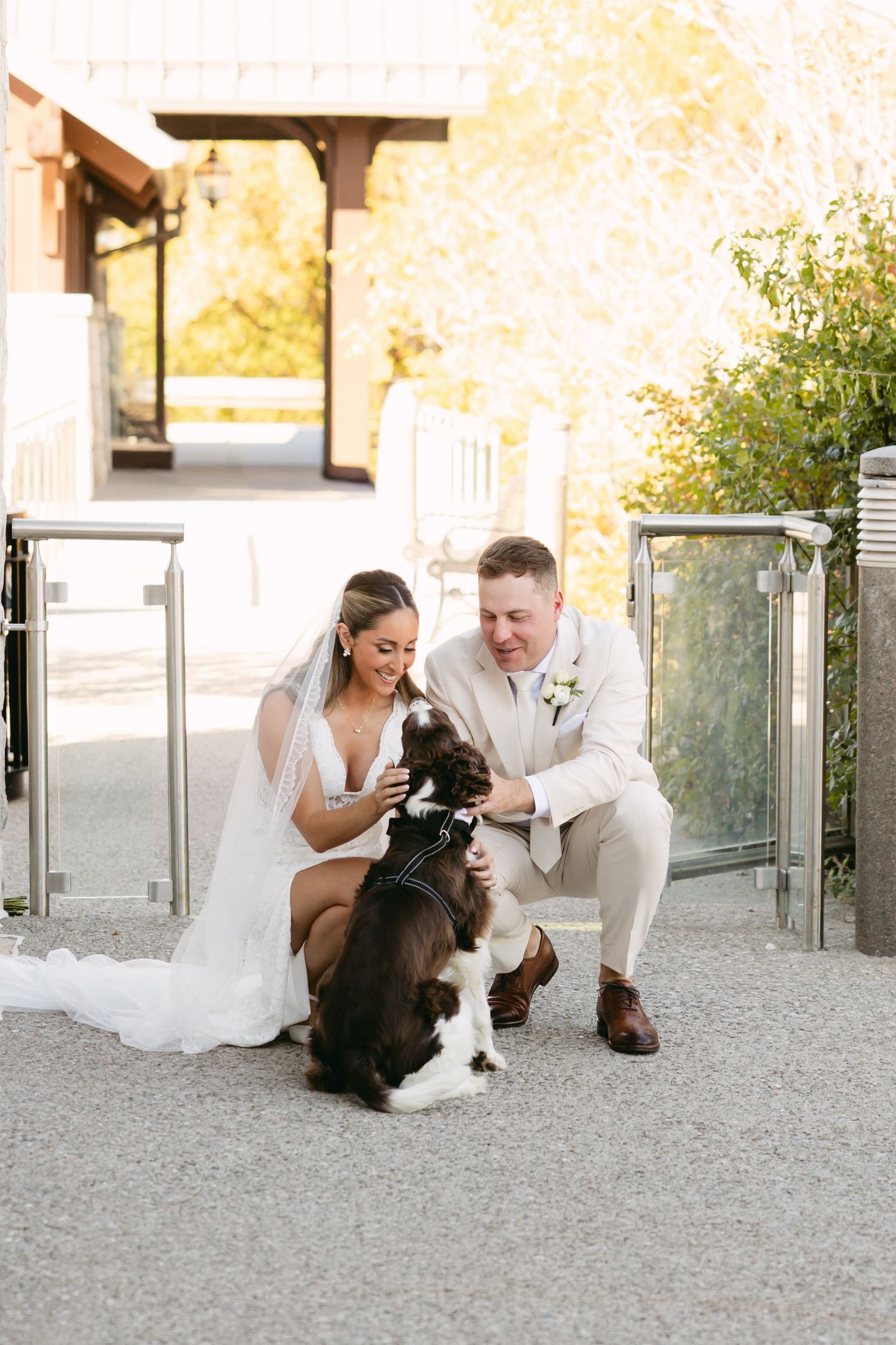 Newlyweds interact playfully with their dog during outdoor wedding photos.