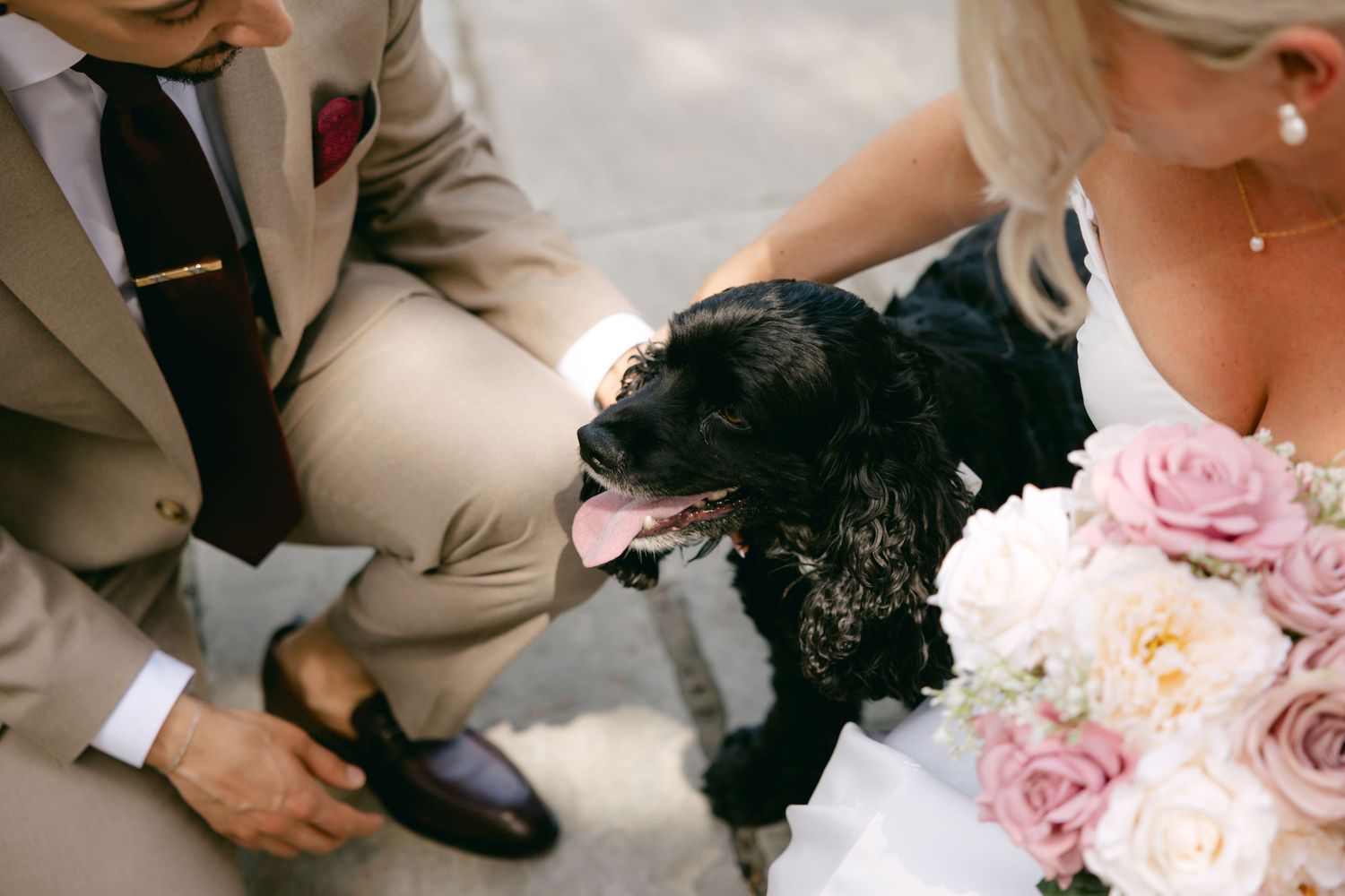 Black dog sits with wedding party among pink roses and formal attire.