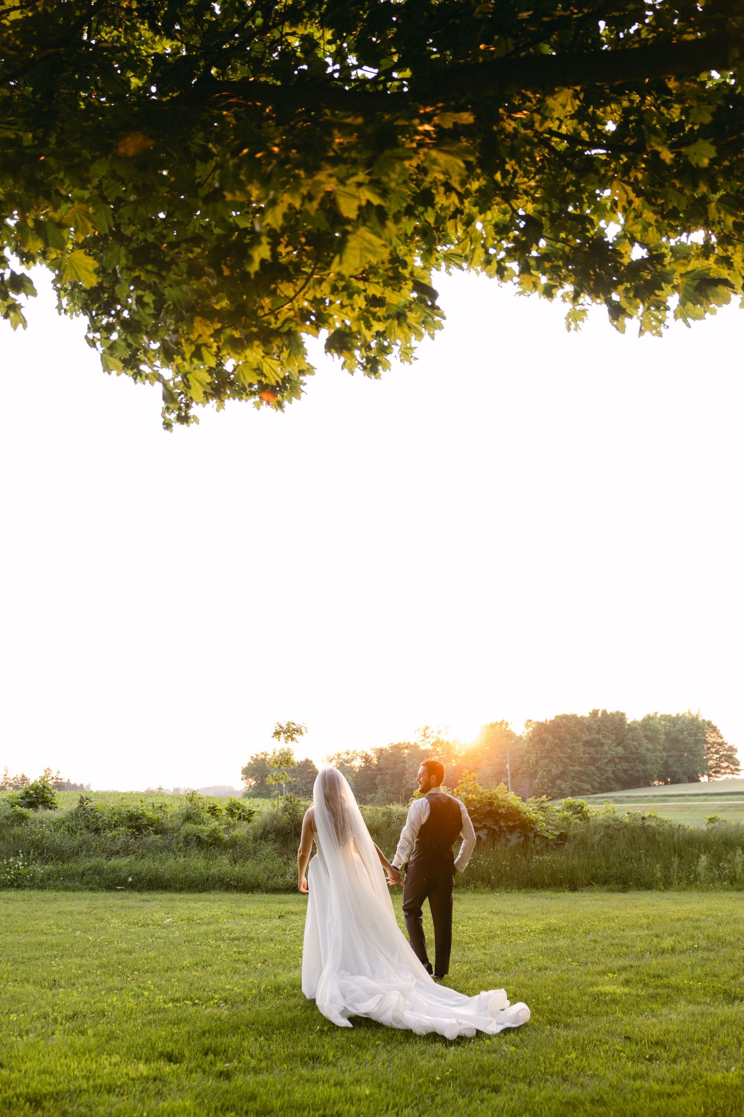 Wide landscape wedding photo with couple walking under tree canopy at sunset.