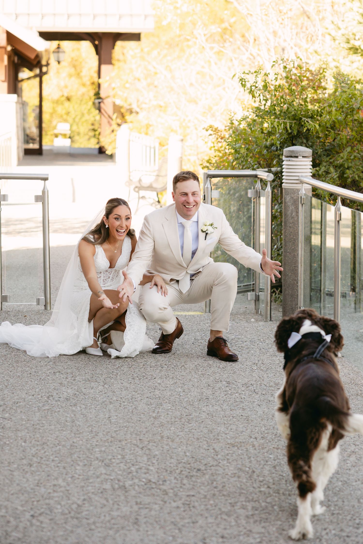 Wedding couple plays with their dog during outdoor photo session.