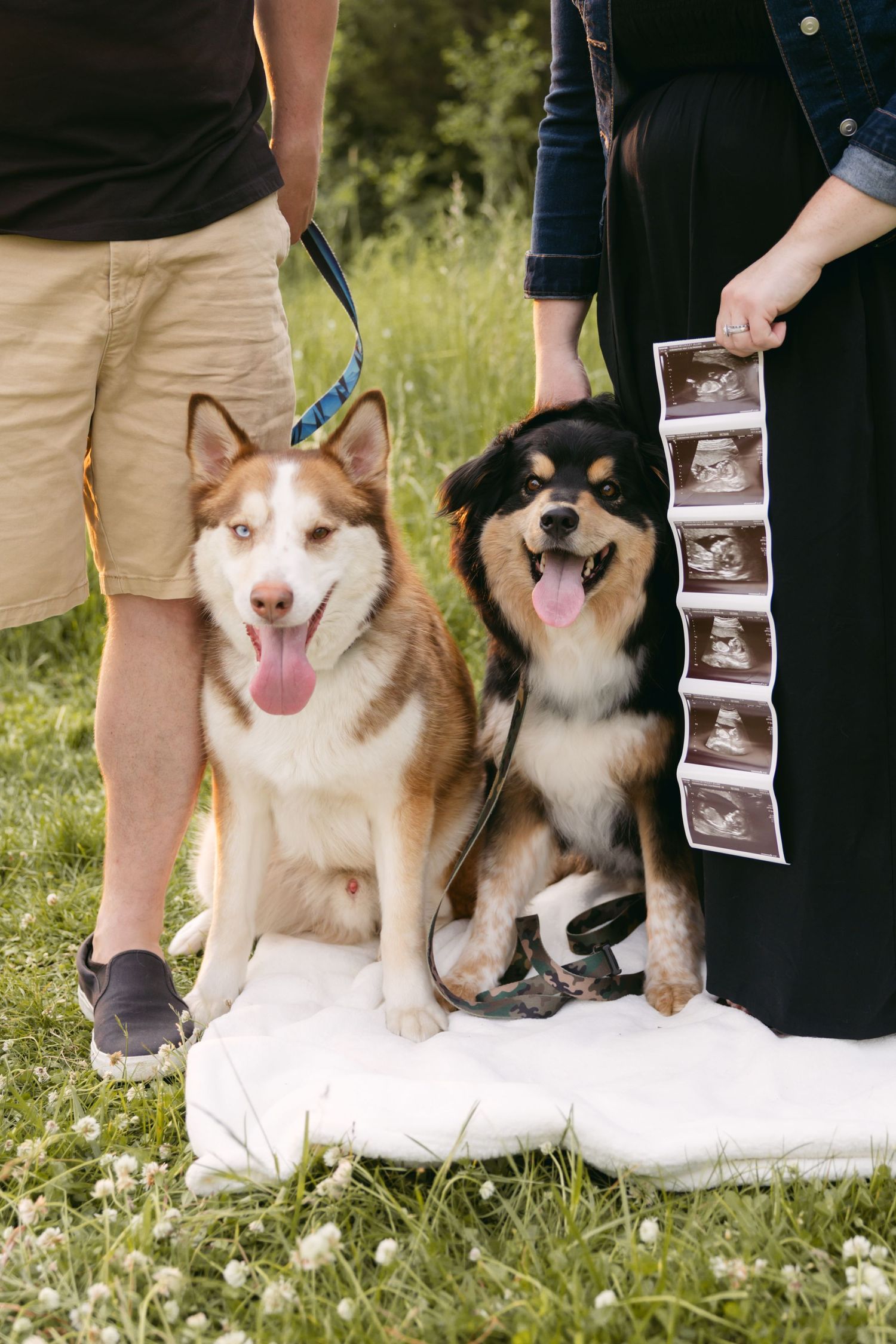 Ontario Maternity Photographer
Cambridge Maternity Photographer
KW Maternity Photographer
GTA Maternity Photographer