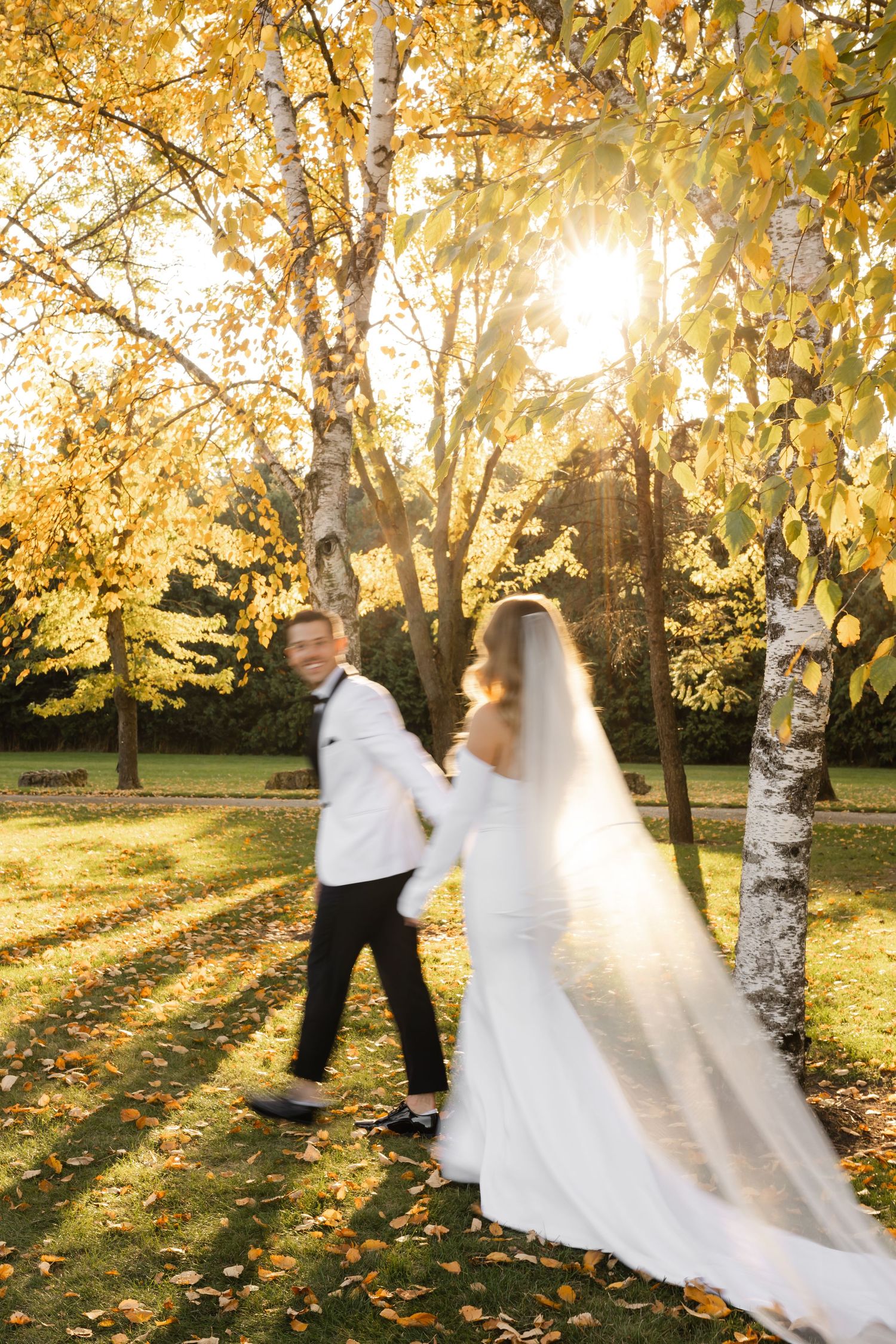 Wedding couple dances in autumn sunlight surrounded by golden birch trees.