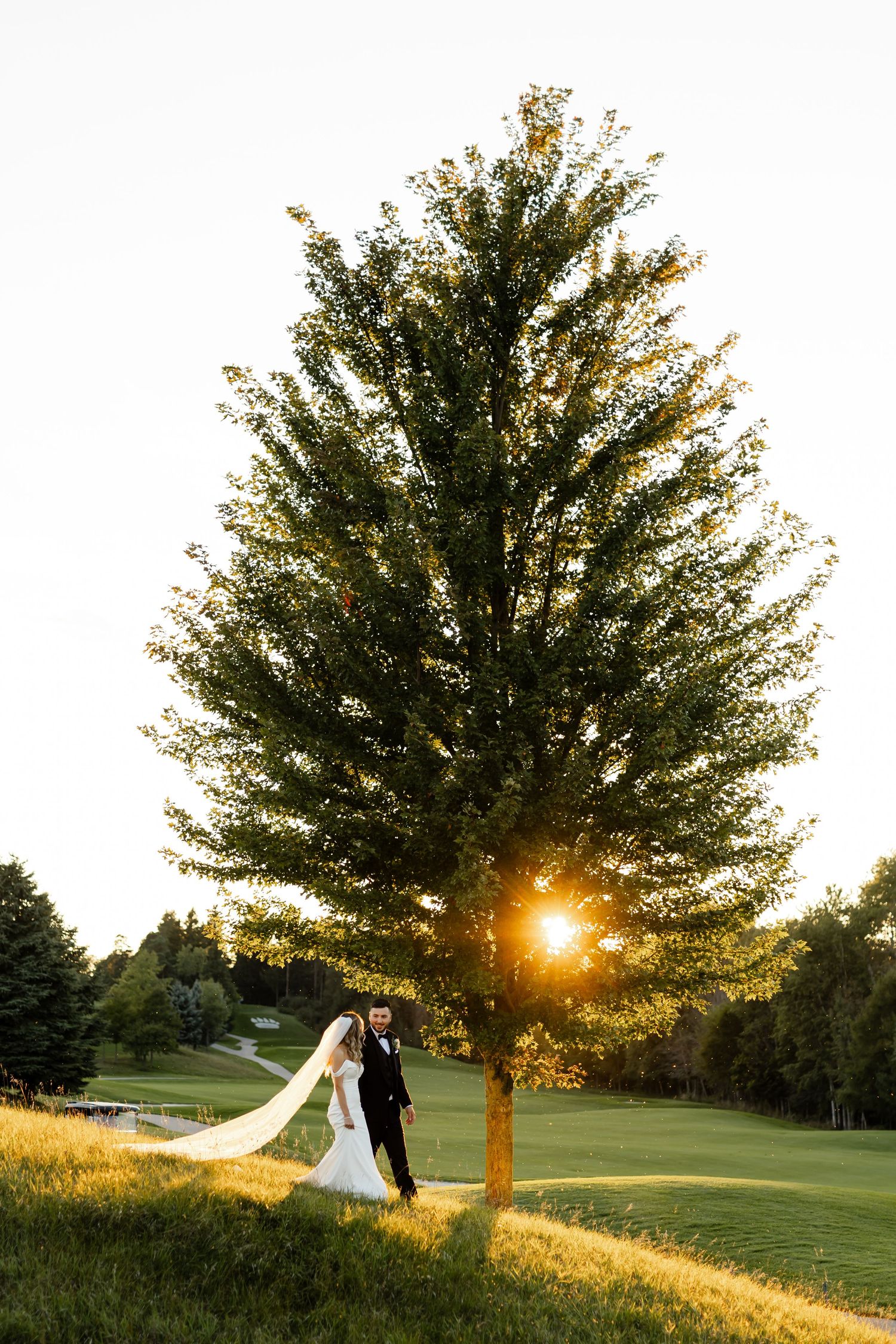 Wedding couple poses under a large tree with sunlight streaming through the branches.
