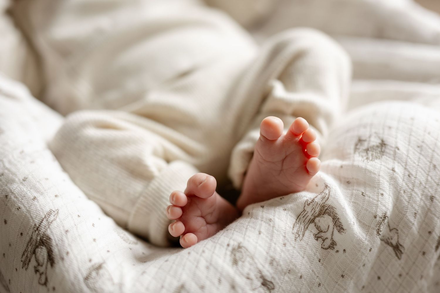 Ontario Newborn Photographer
Cambridge Newborn Photographer
KW Newborn Photographer
GTA Newborn Photographer