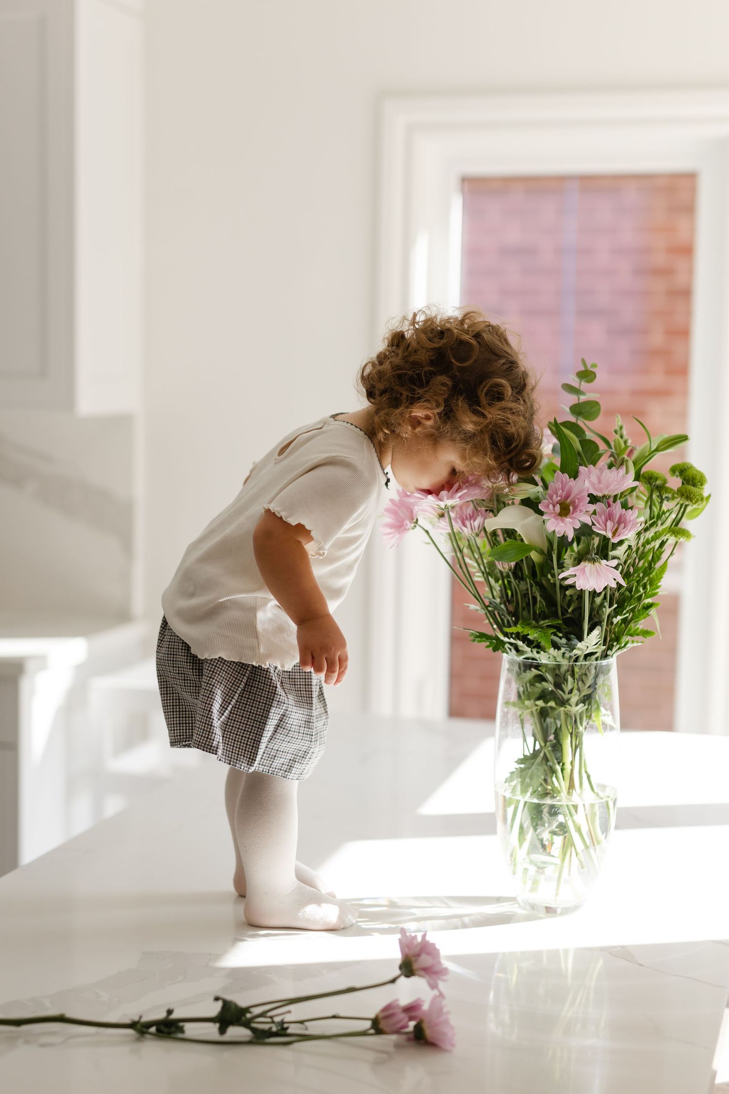 Ontario Newborn Photographer
Cambridge Newborn Photographer
KW Newborn Photographer
GTA Newborn Photographer