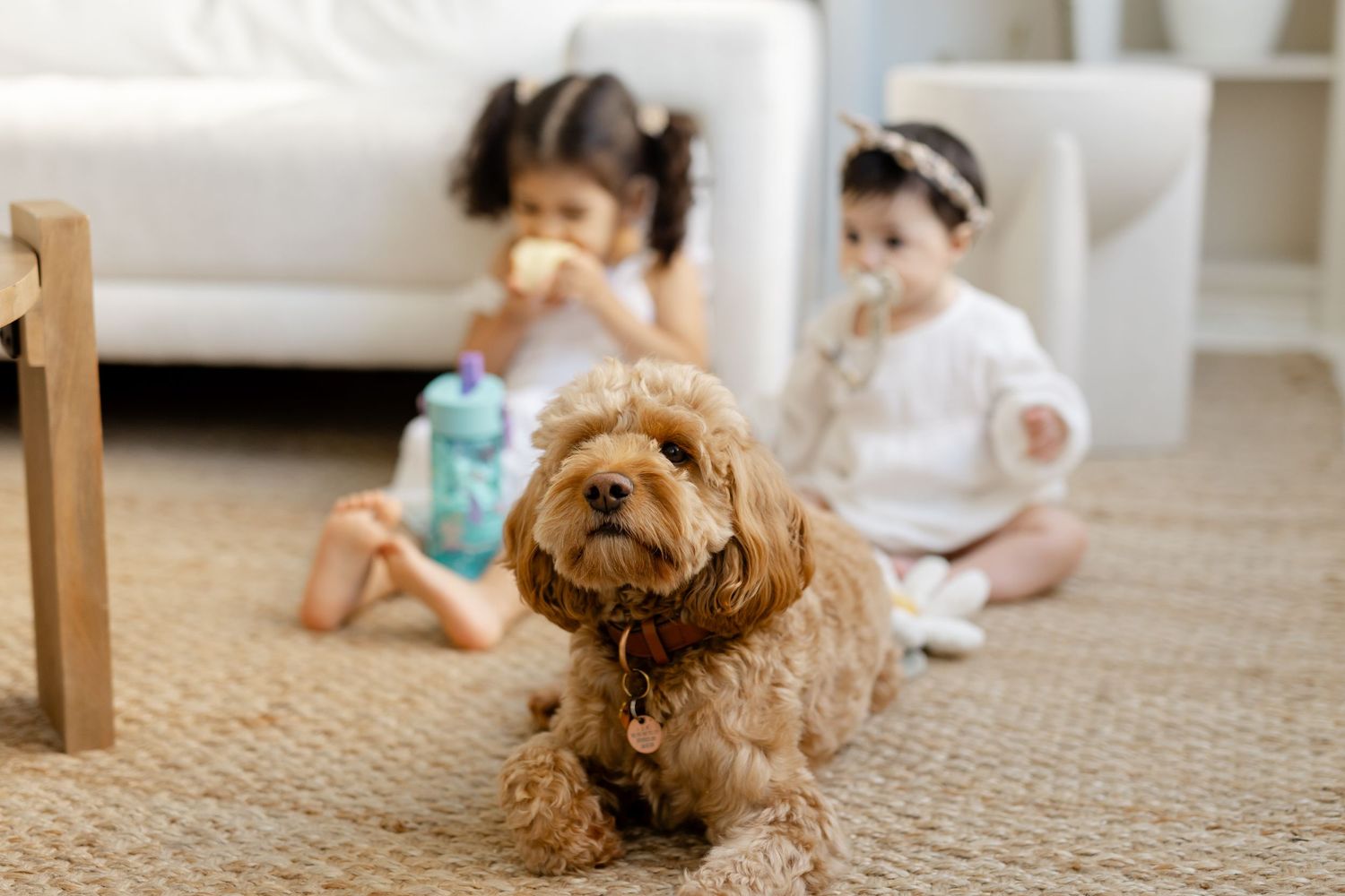 Ontario Family Photographer
Cambridge Family Photographer
KW Family Photographer
GTA Family Photographer