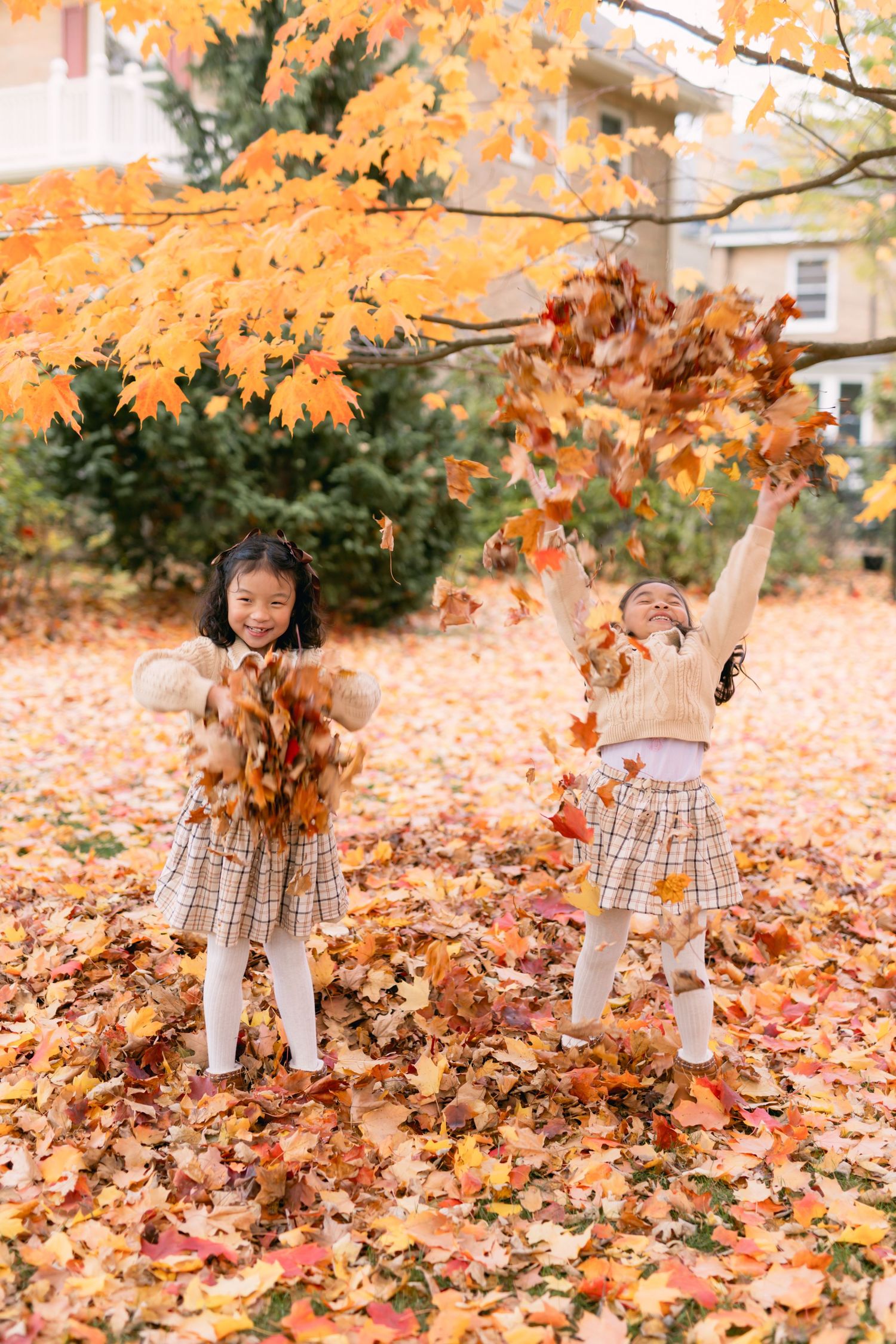 Ontario Family Photographer
Cambridge Family Photographer
KW Family Photographer
GTA Family Photographer